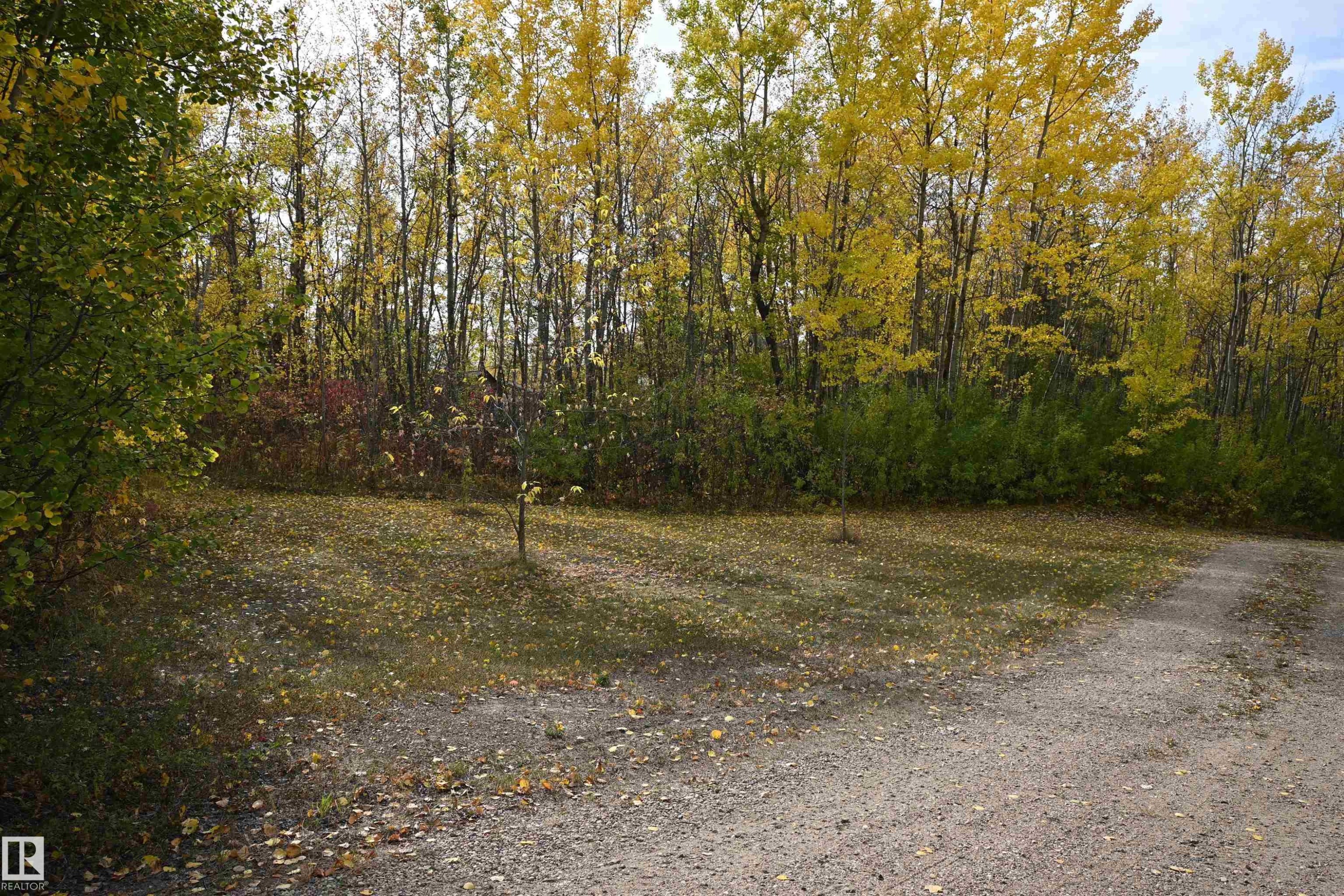 218 58532 Range Road 113, Rural St. Paul County, AB - Outdoor