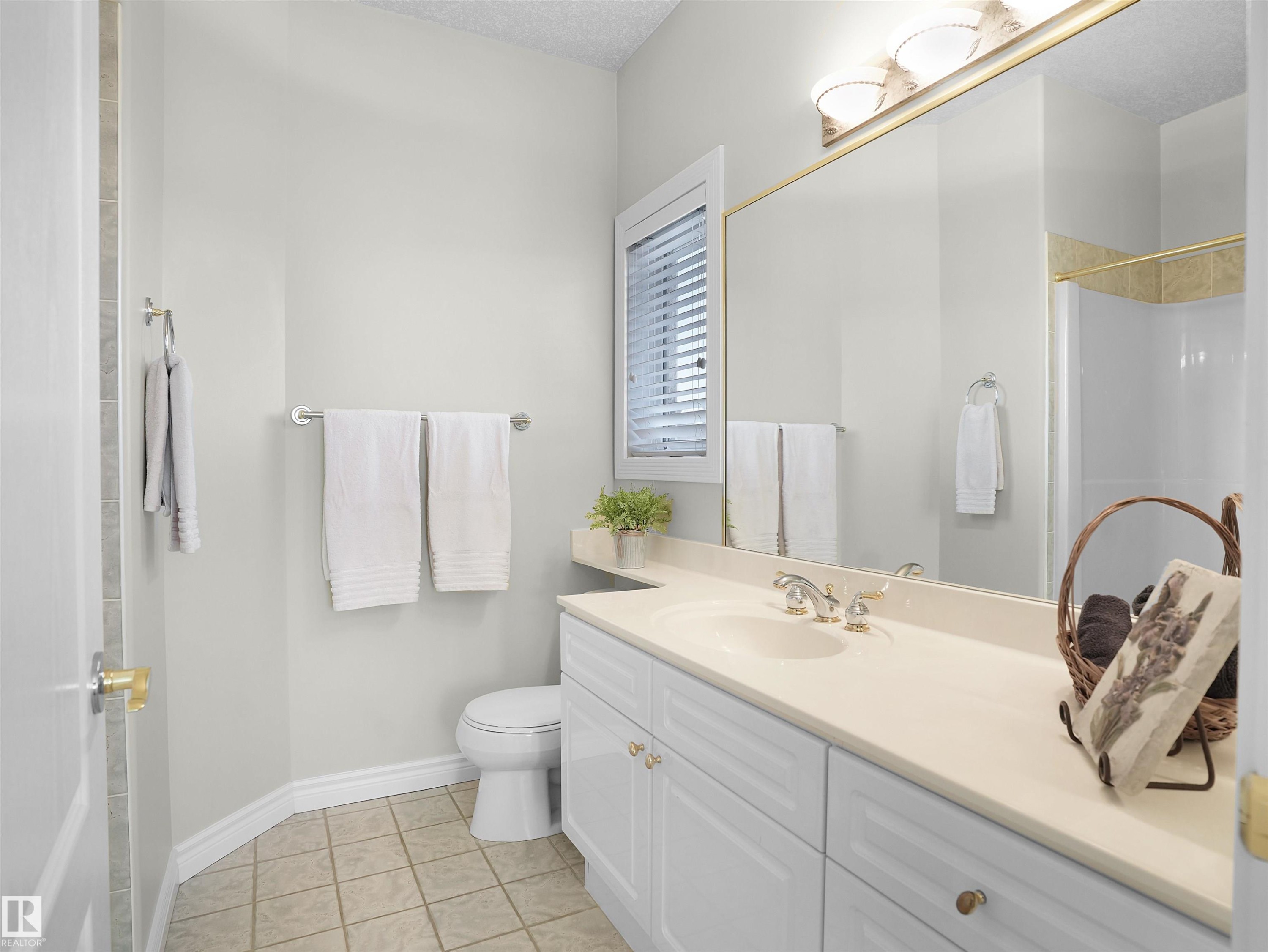 255 Wilson Lane, Edmonton, AB - Indoor Photo Showing Bathroom