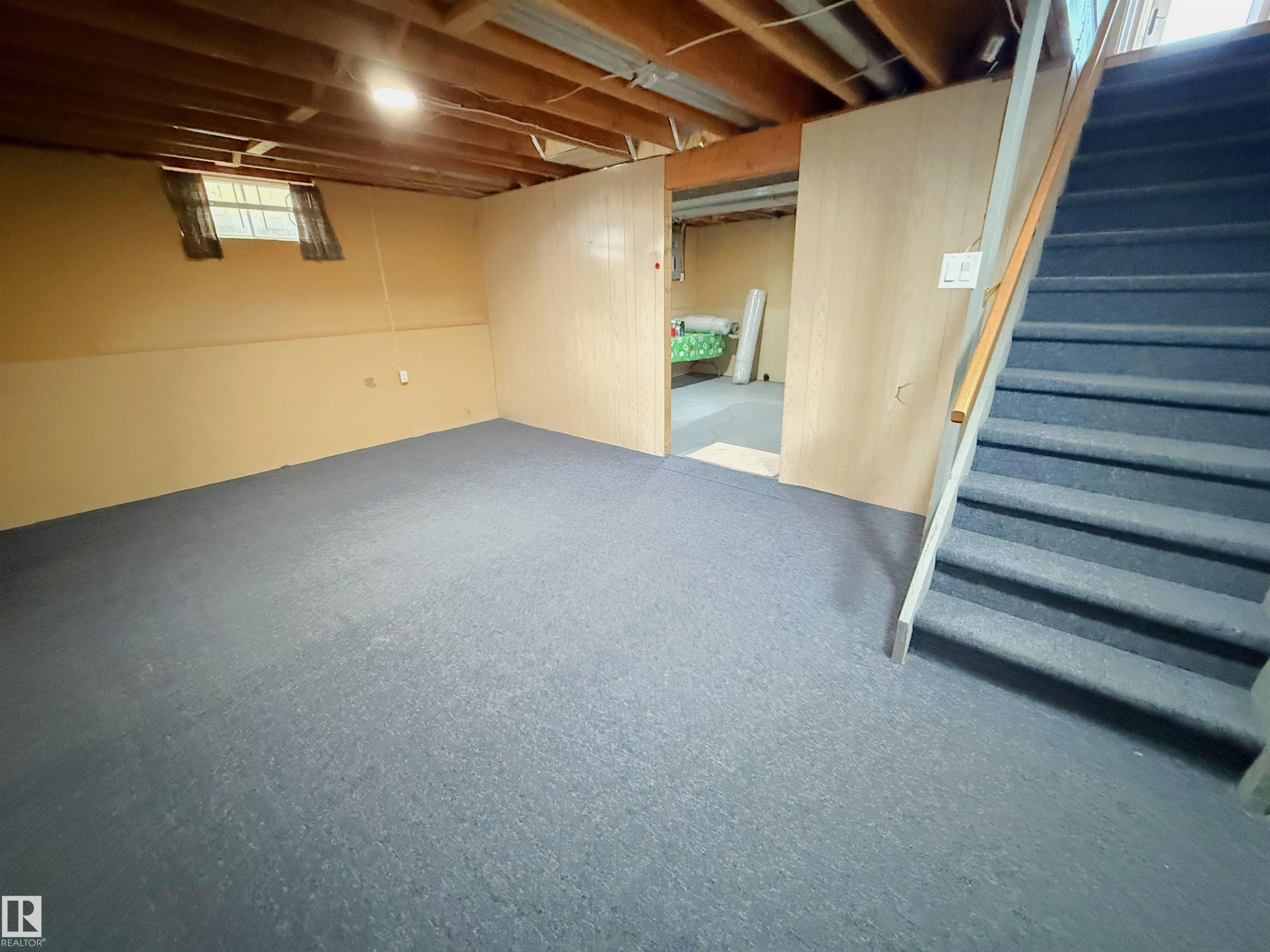 10226 152 Street, Edmonton, AB - Indoor Photo Showing Basement
