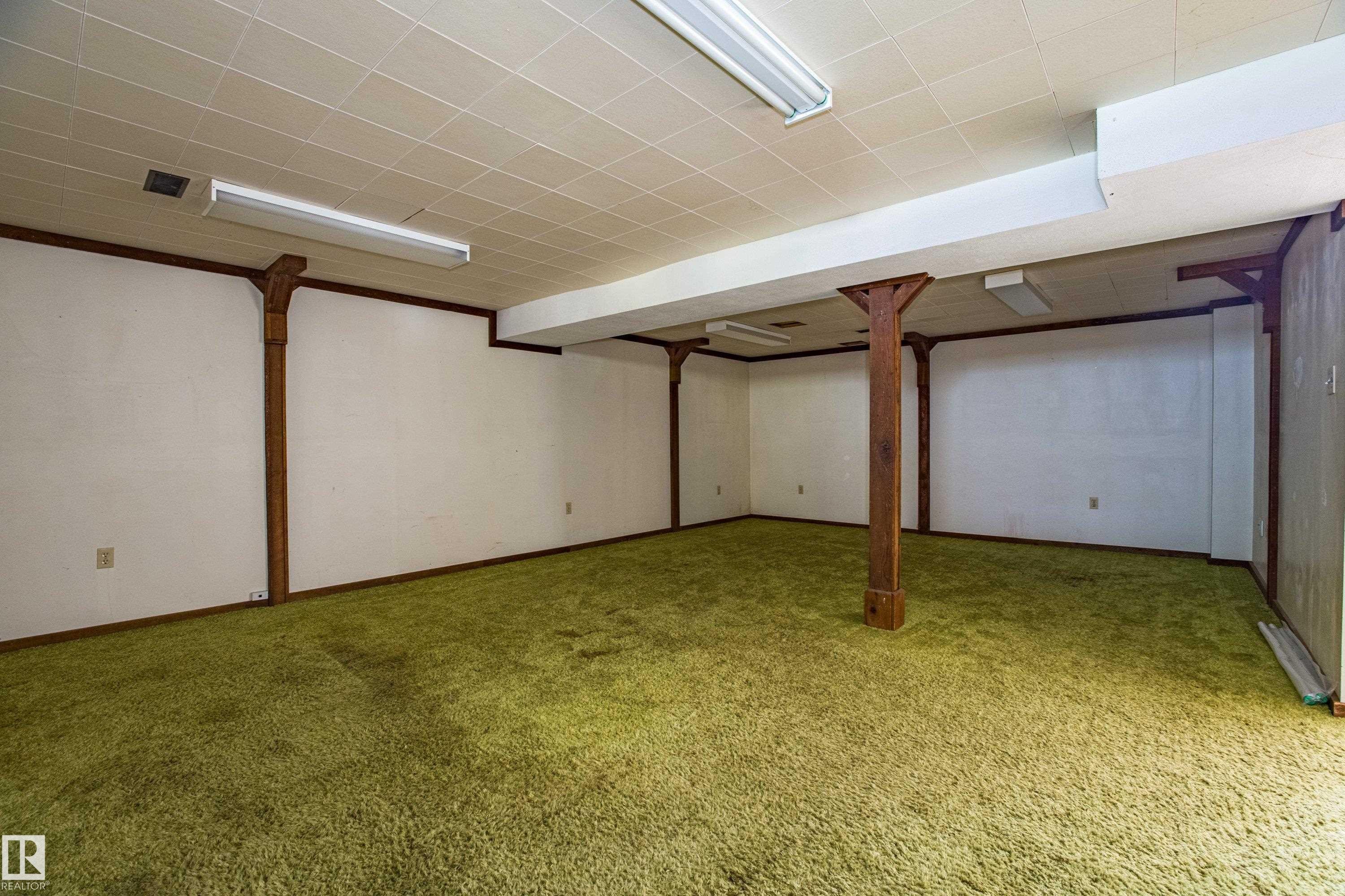 4051 120 Street, Edmonton, AB - Indoor Photo Showing Basement