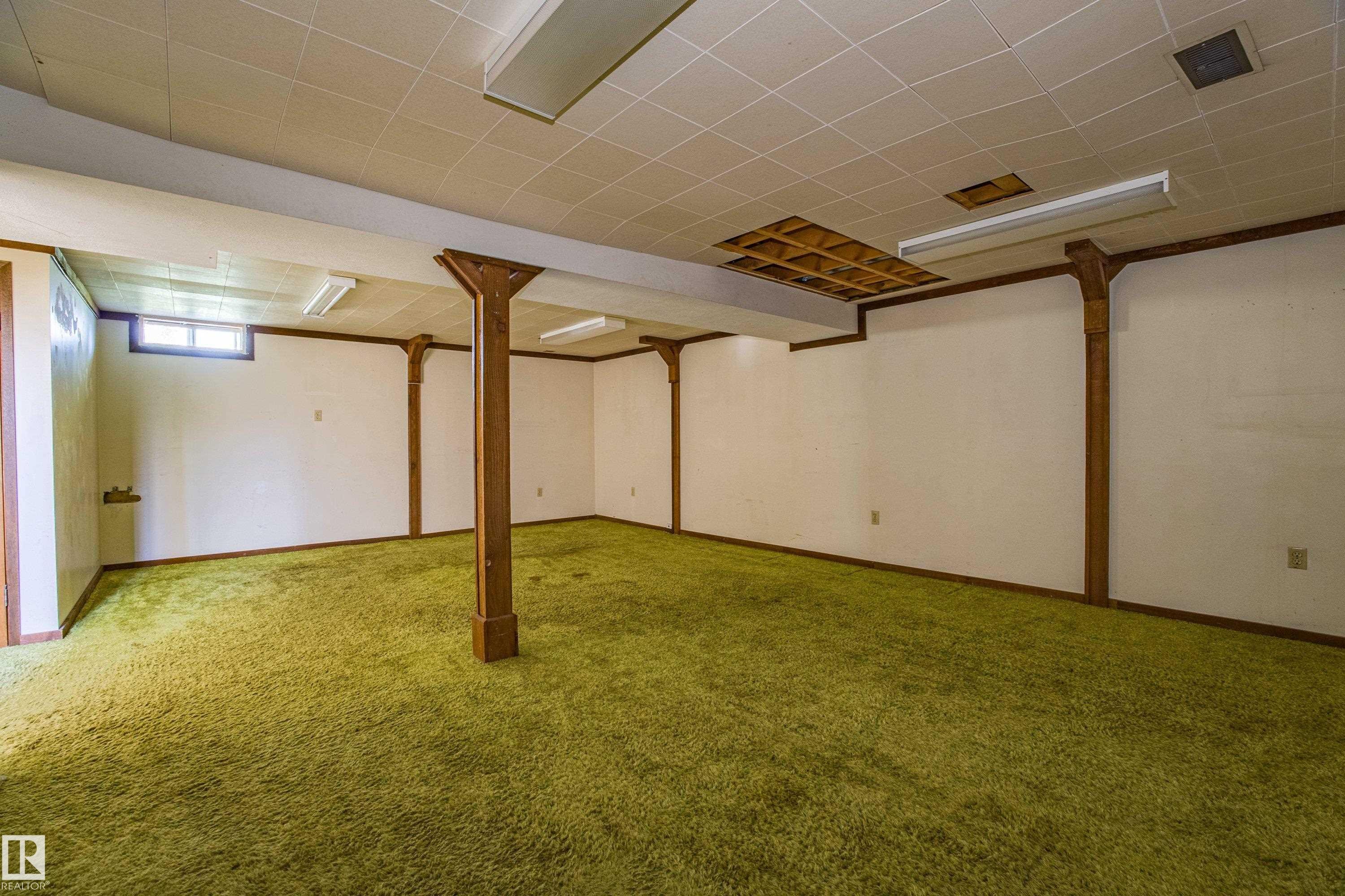 4051 120 Street, Edmonton, AB - Indoor Photo Showing Basement