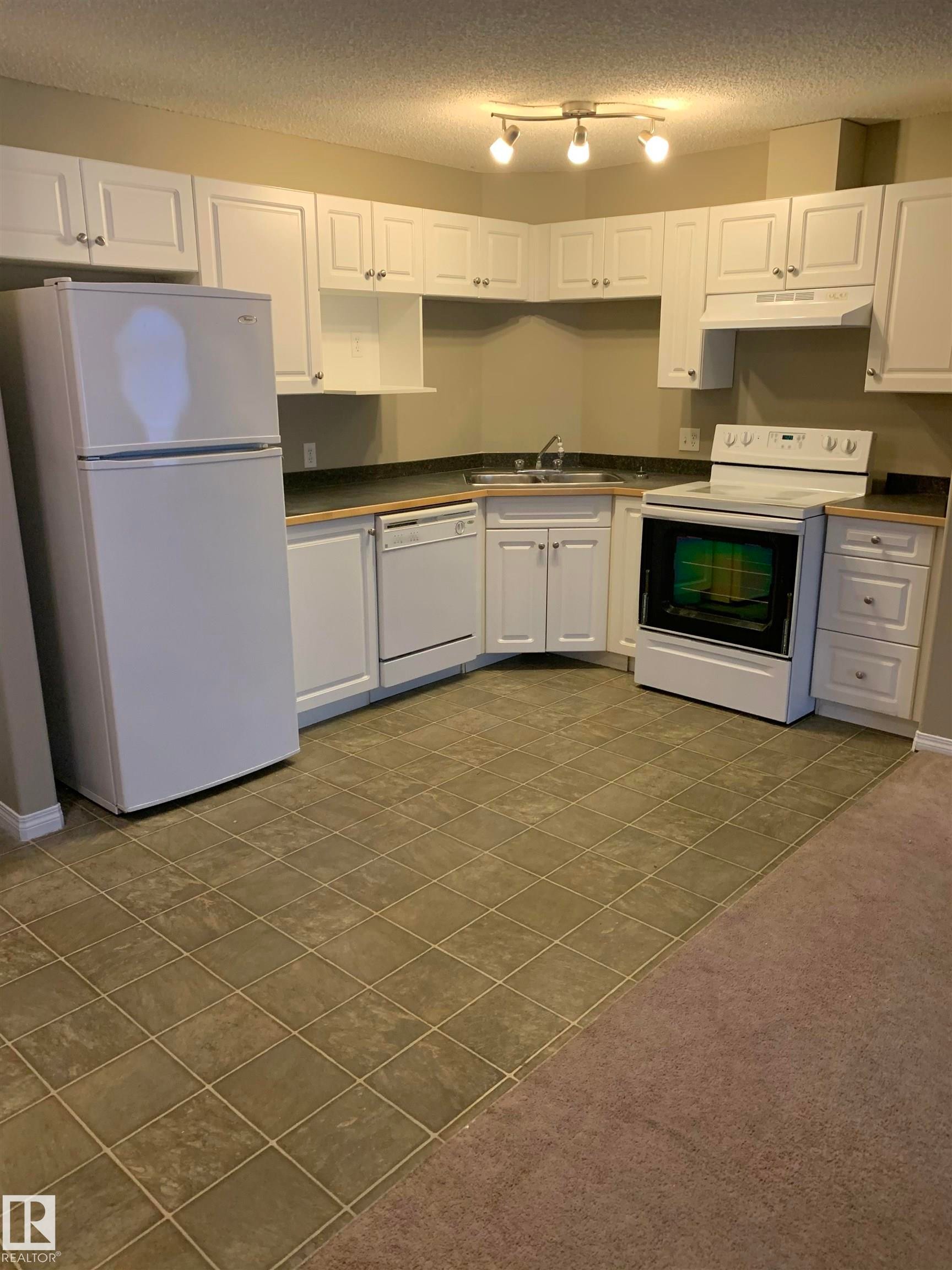 119 5340 199 Street, Edmonton, AB - Indoor Photo Showing Kitchen With Double Sink