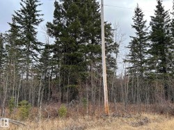 RR 210 Twp Rd 605 Rural Thorhild County, AB T0A 0A0