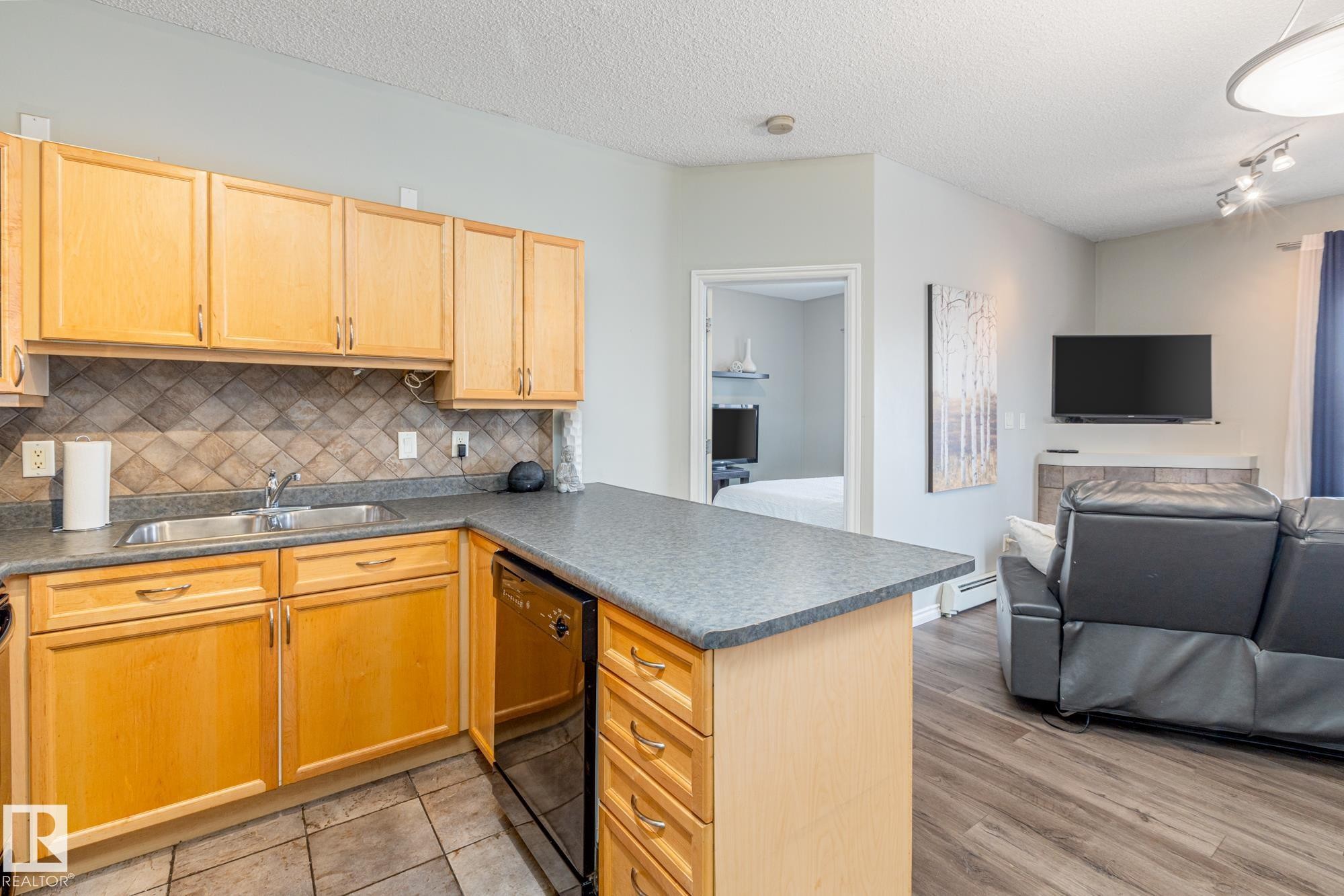 208 10118 95 Street, Edmonton, AB - Indoor Photo Showing Kitchen