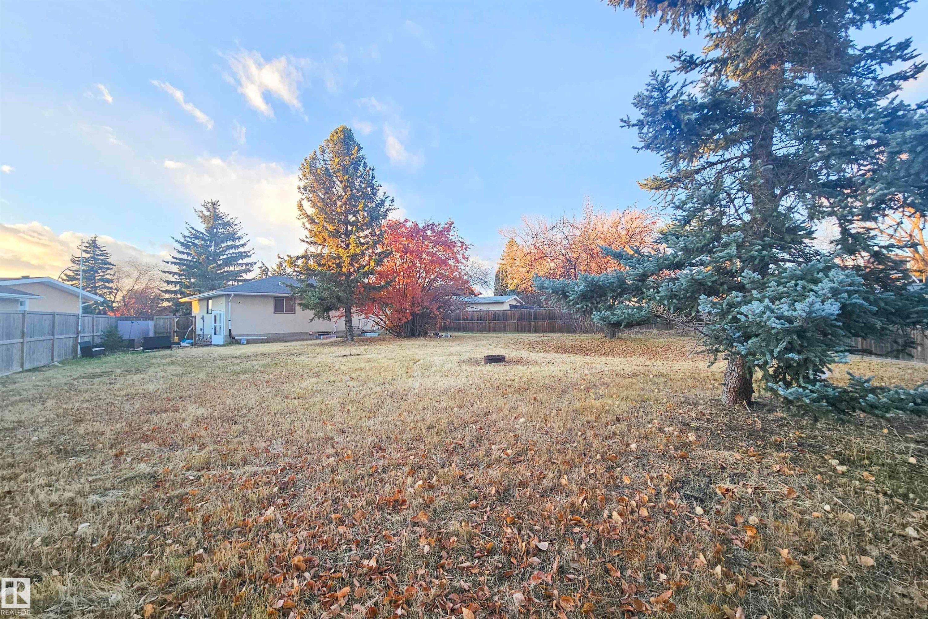 View of yard - 4203 83 Street, Edmonton, AB - Outdoor