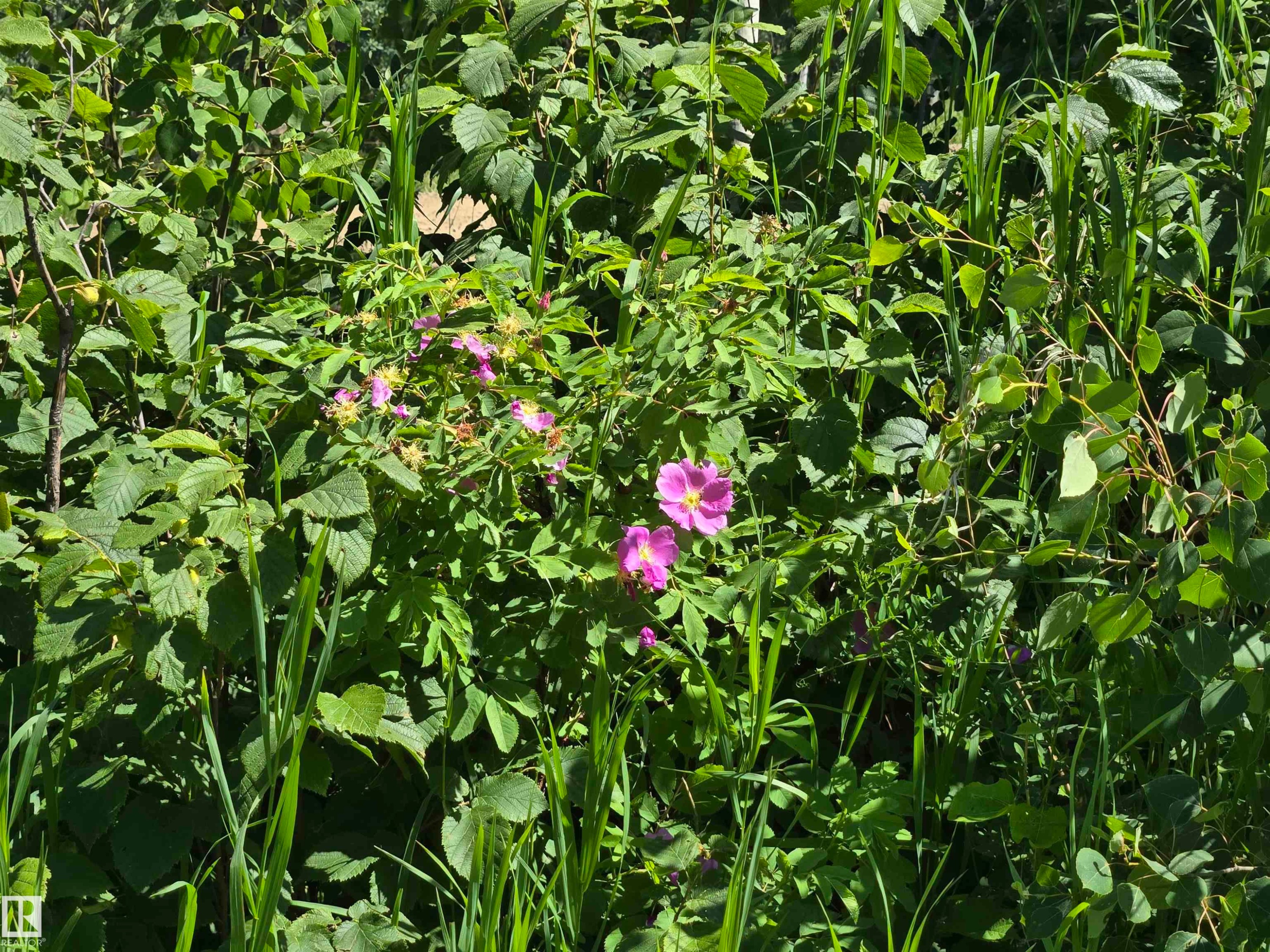 54516 Rge Road 41, Rural Lac Ste. Anne County, AB