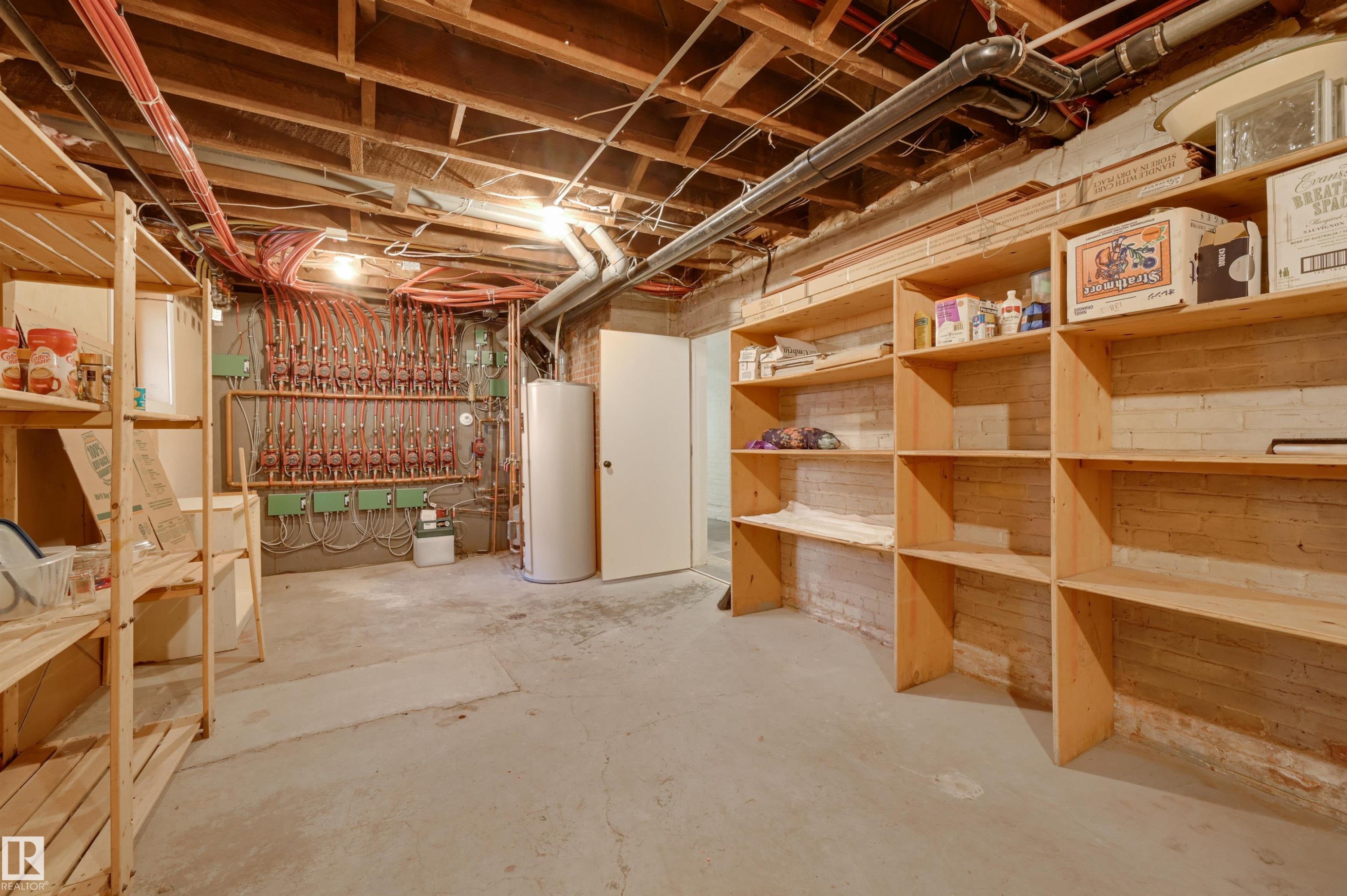 10317 Villa Avenue, Edmonton, AB - Indoor Photo Showing Basement