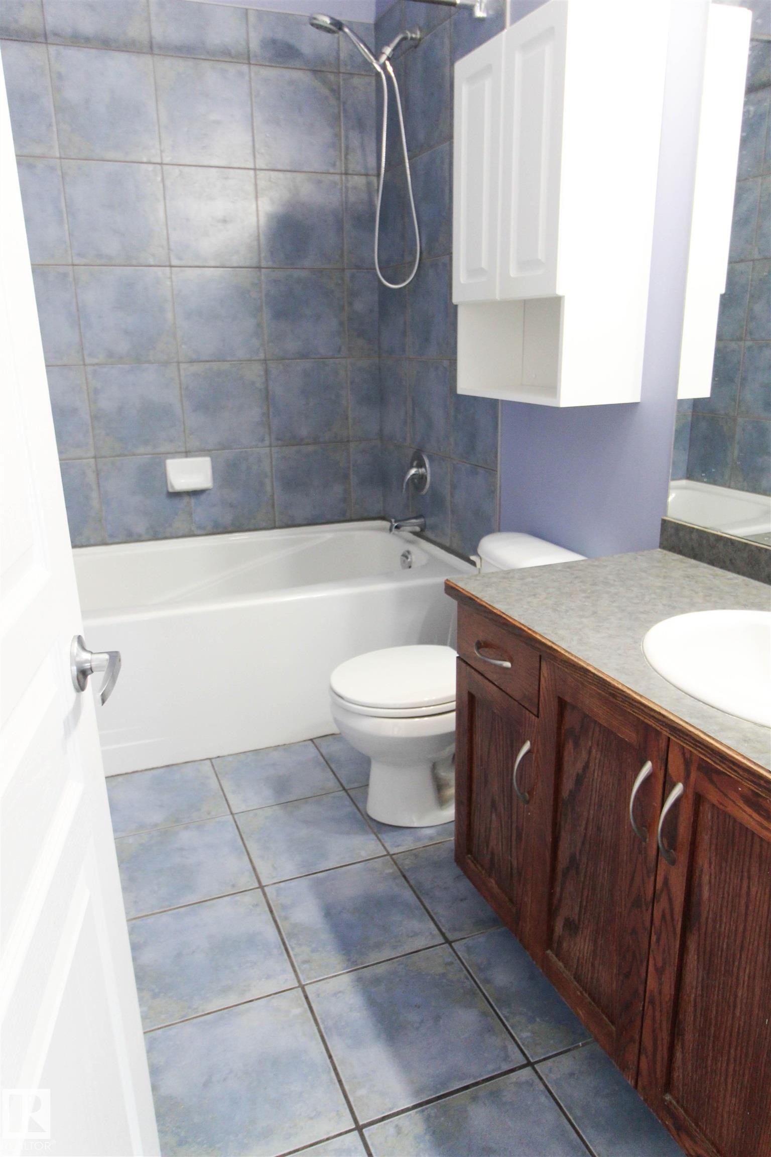 347 4827 104A Street, Edmonton, AB - Indoor Photo Showing Bathroom