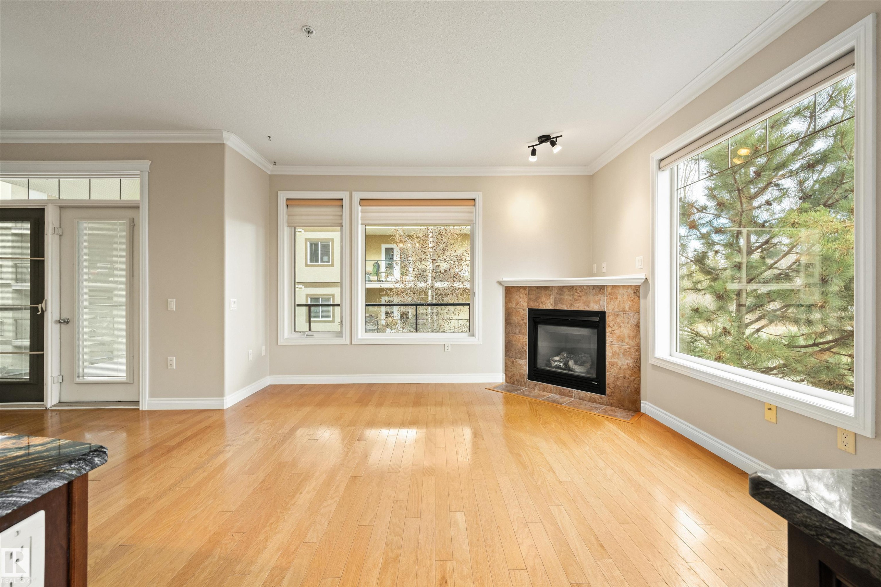 218 12408 15 Avenue, Edmonton, AB - Indoor Photo Showing Living Room With Fireplace