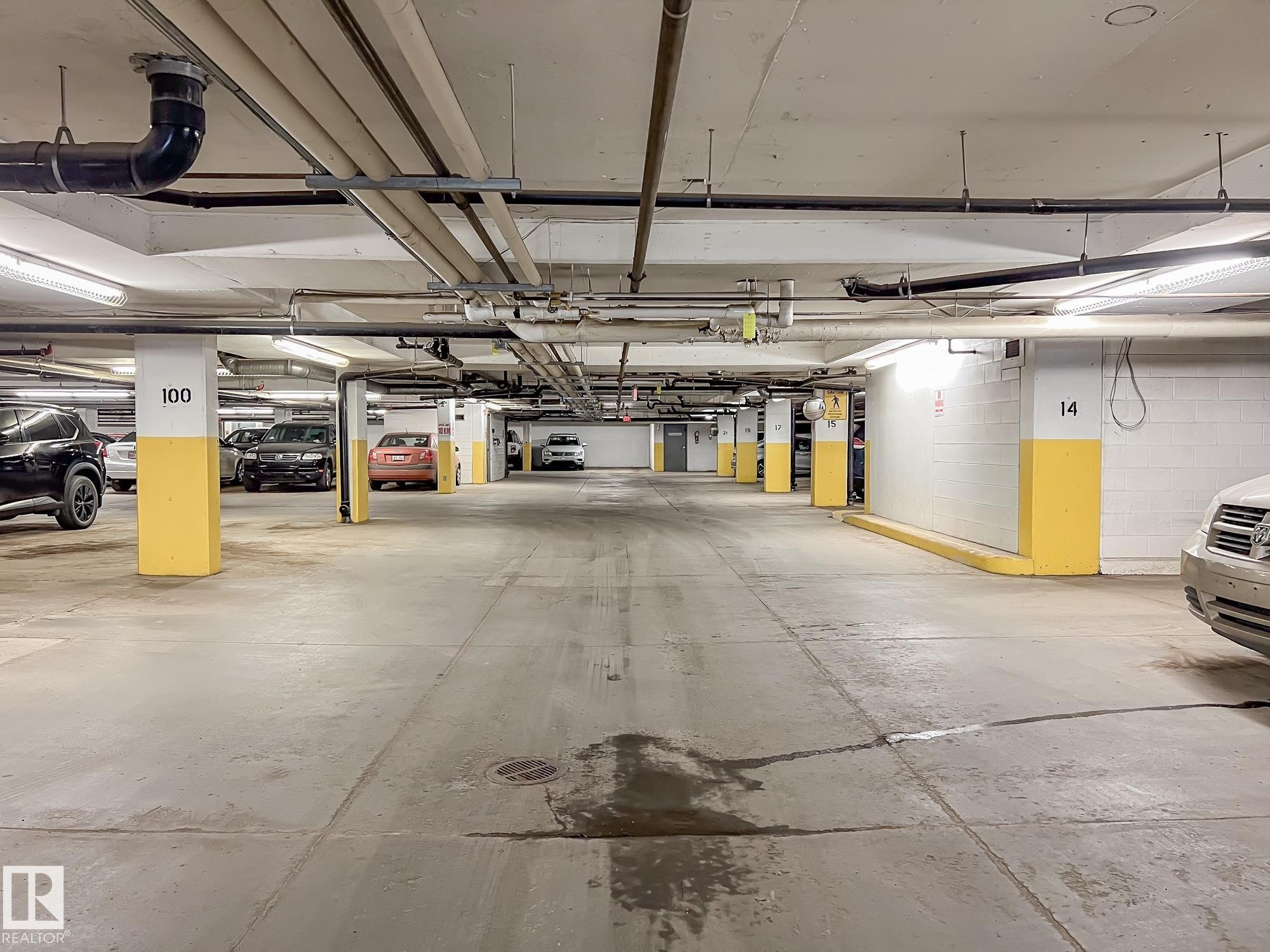 225 226 Macewan Road, Edmonton, AB - Indoor Photo Showing Garage
