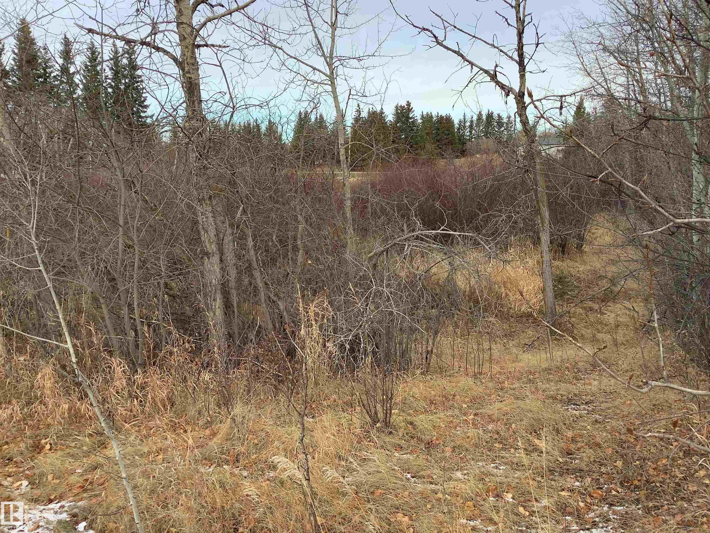 242 21252 Twp Road 540, Rural Strathcona County, AB