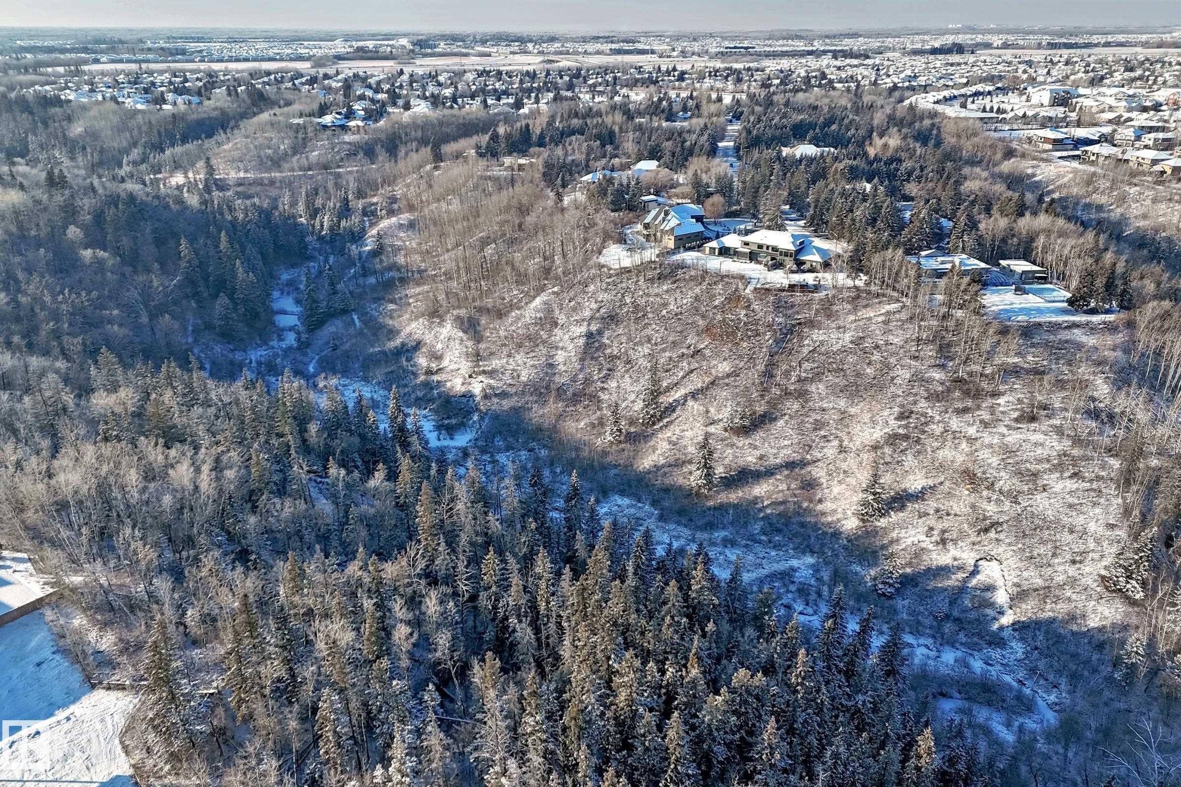 4163 Cameron Heights Point(E), Edmonton, AB