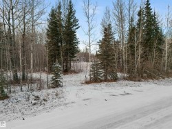 Twp 501 Range Road 91 - Lot 3 Rural Brazeau County, AB T7A 2A3