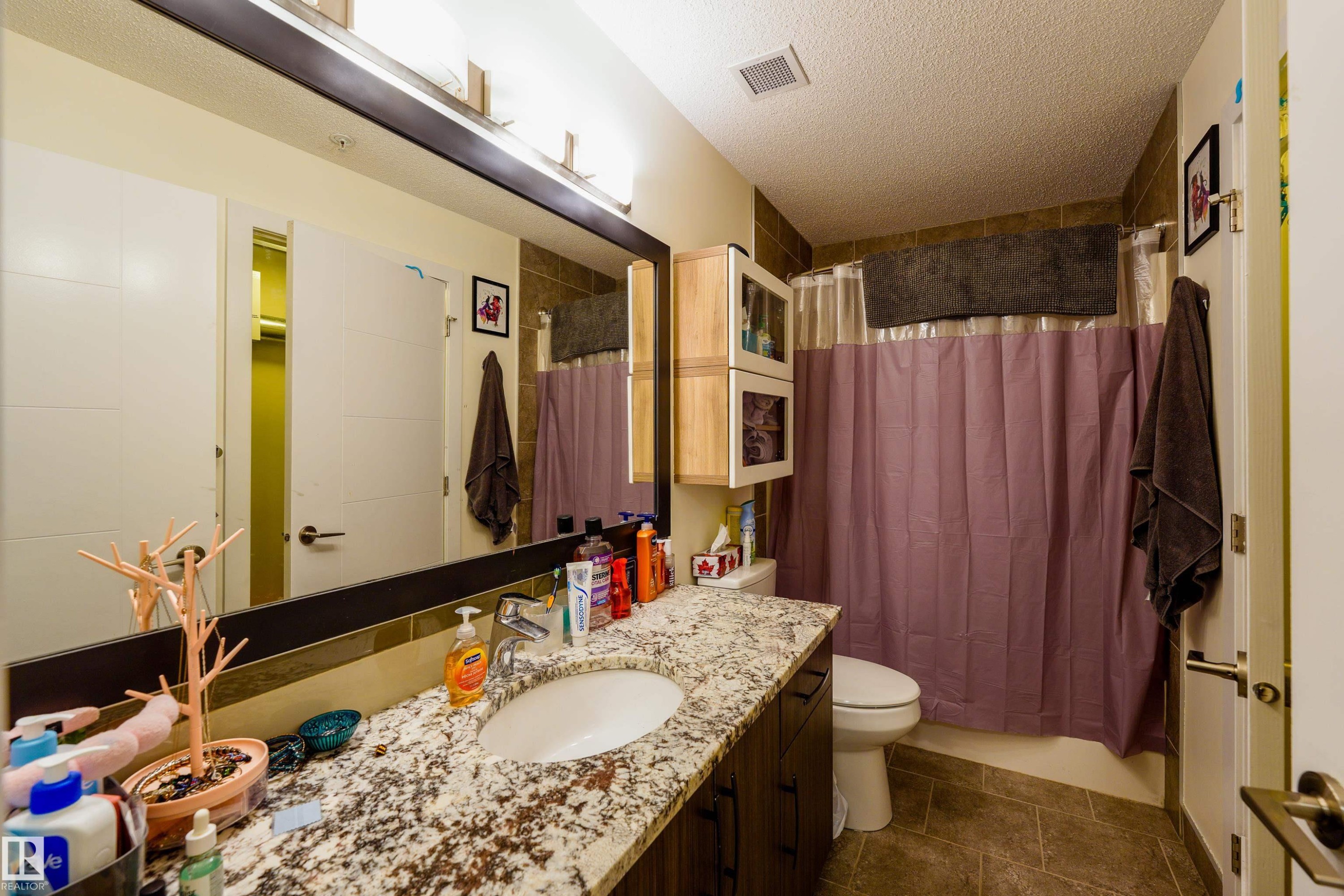 319 10523 123 Street, Edmonton, AB - Indoor Photo Showing Bathroom
