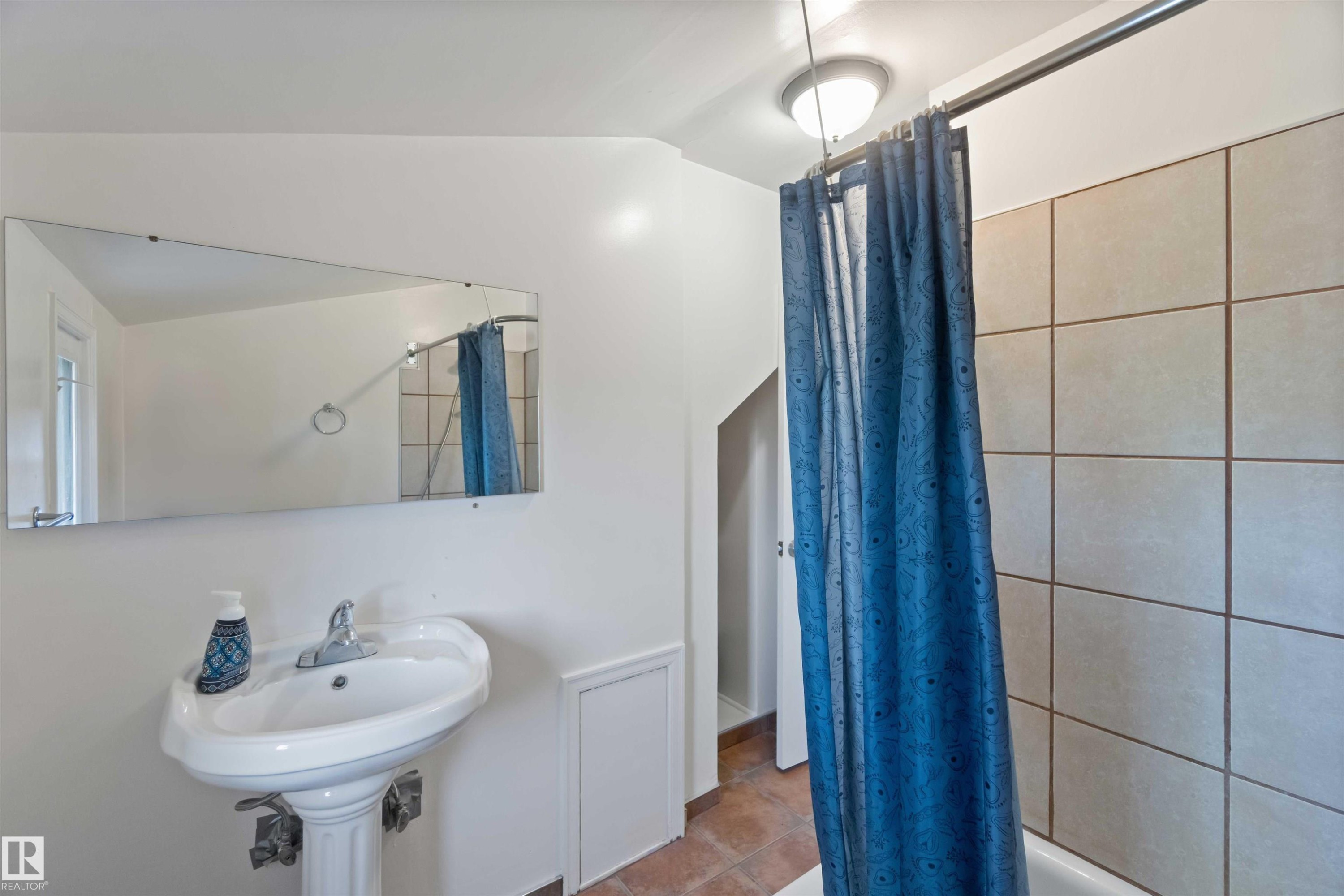 11022 110 Avenue, Edmonton, AB - Indoor Photo Showing Bathroom