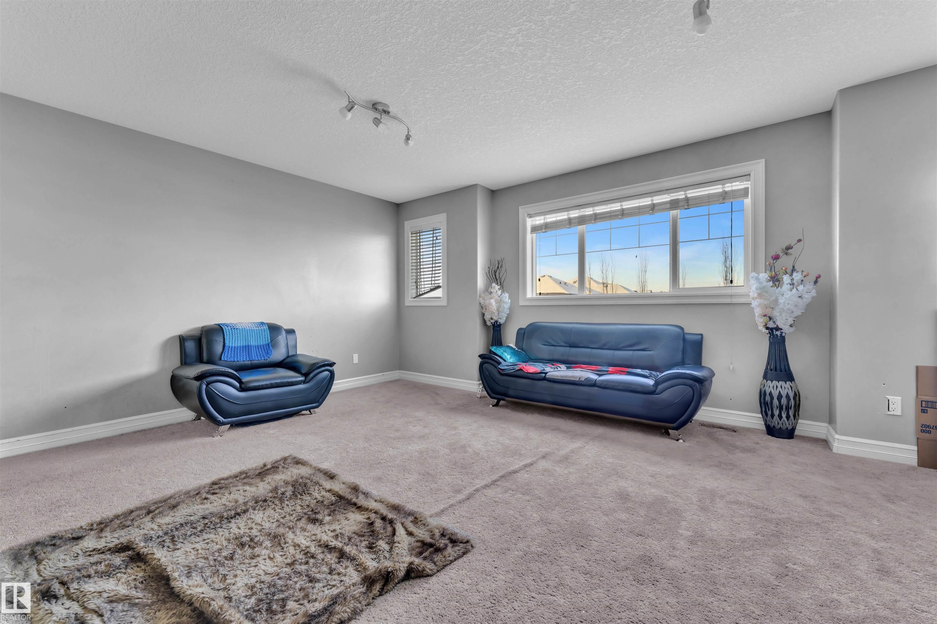 Living area with carpet, rail lighting, and a textured ceiling - 3015 26 Ave Nw, Edmonton, AB - Indoor