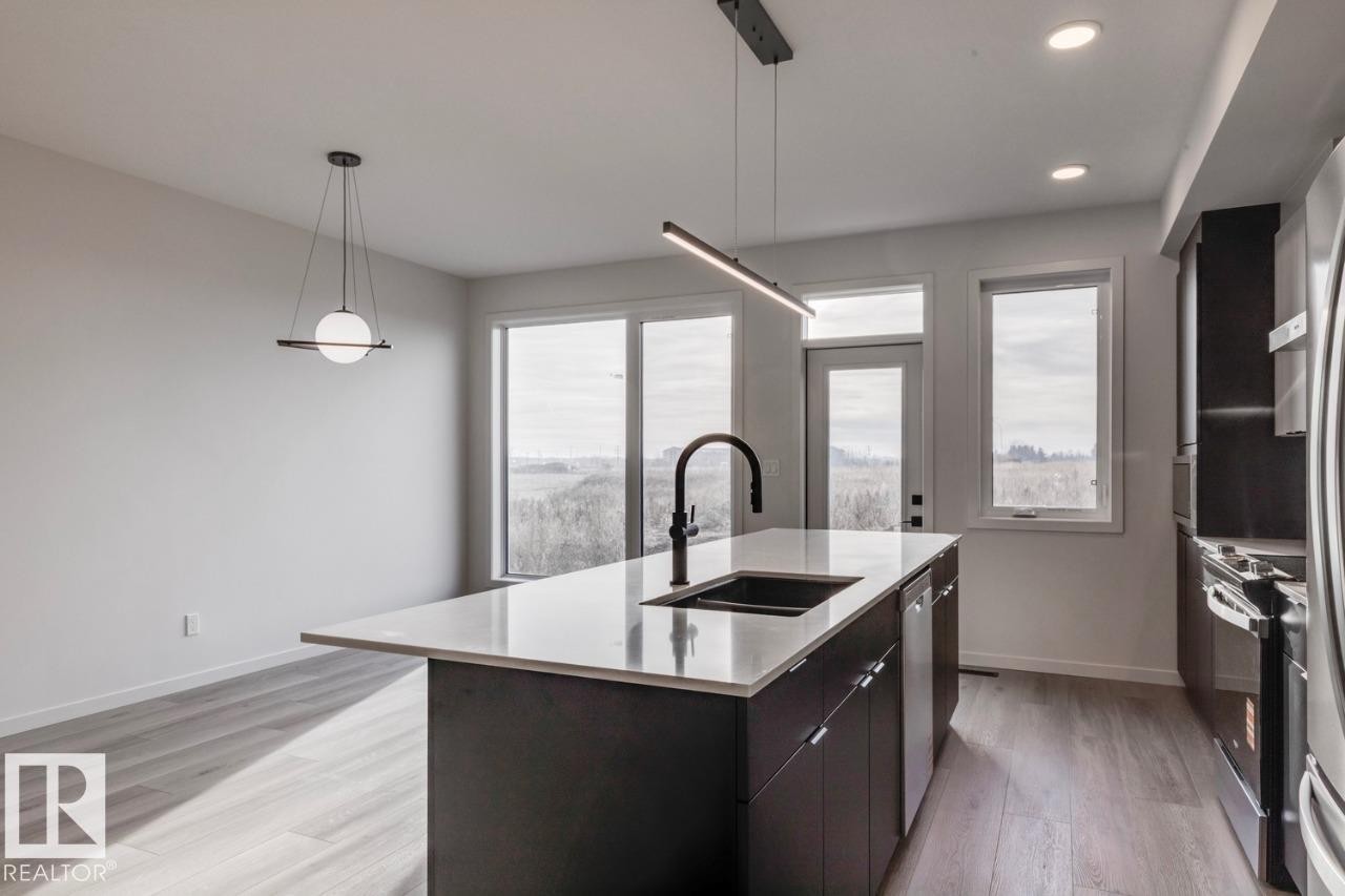 22915 80 Avenue, Edmonton, AB - Indoor Photo Showing Kitchen With Double Sink With Upgraded Kitchen