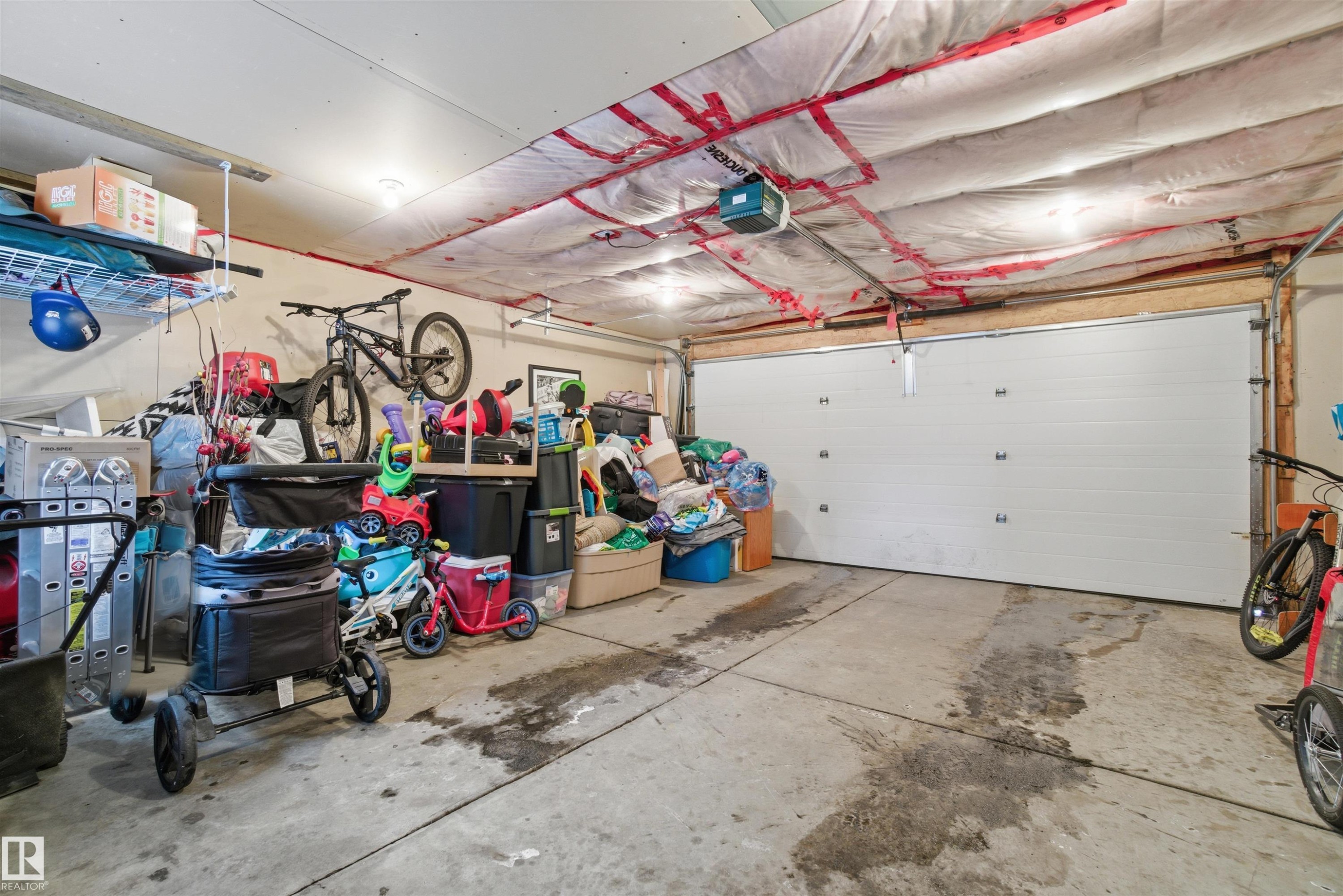 5515 Stevens Crescent, Edmonton, AB - Indoor Photo Showing Garage