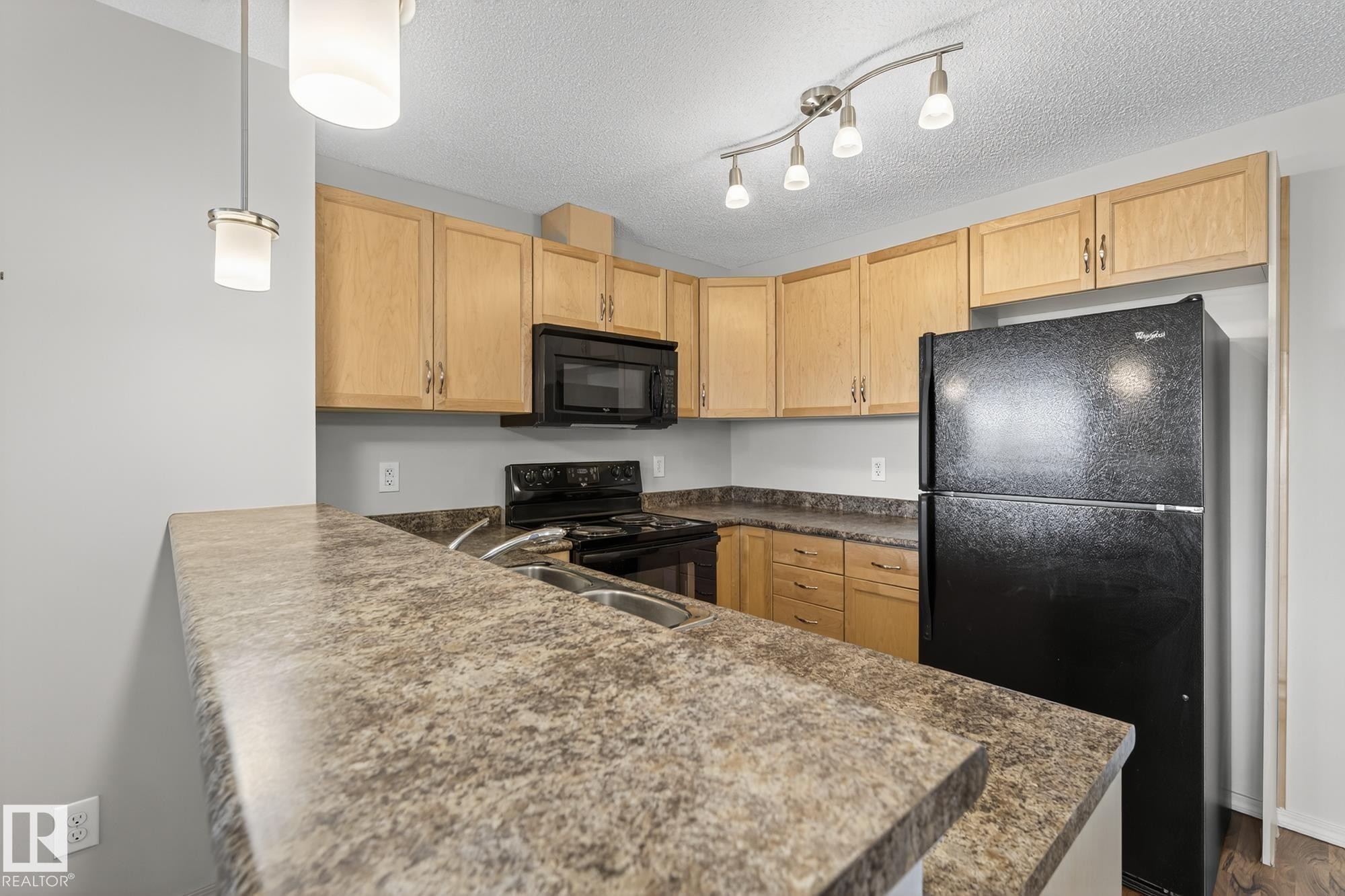 310 6070 Schonsee Way, Edmonton, AB - Indoor Photo Showing Kitchen With Double Sink