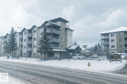 206 16715 100 Avenue Edmonton, AB T5J 1V7