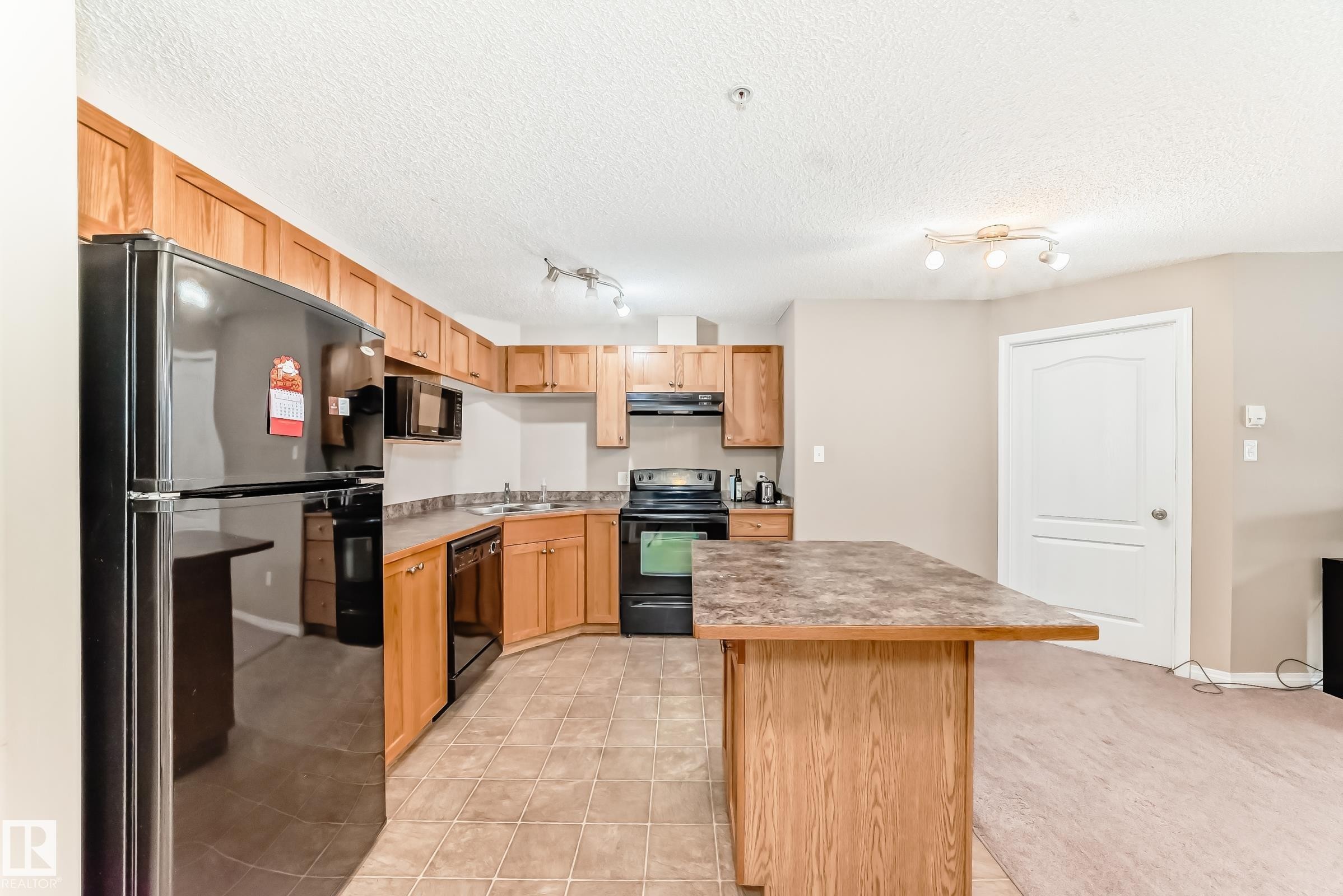 223 5350 199 Street, Edmonton, AB - Indoor Photo Showing Kitchen With Double Sink