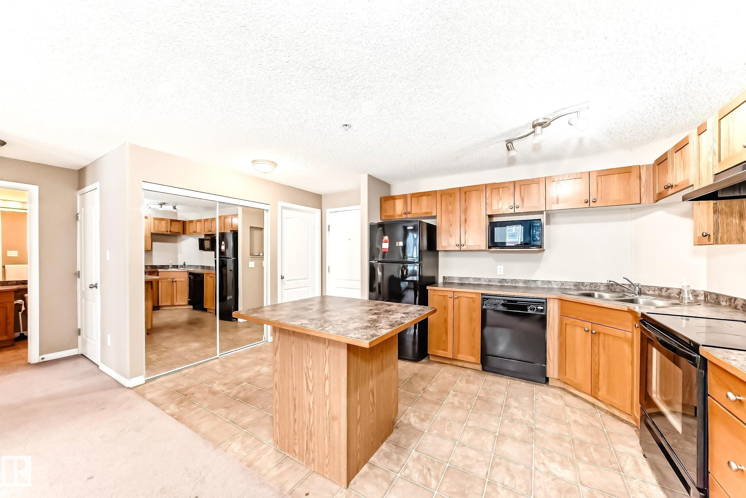 223 5350 199 Street, Edmonton, AB - Indoor Photo Showing Kitchen With Double Sink
