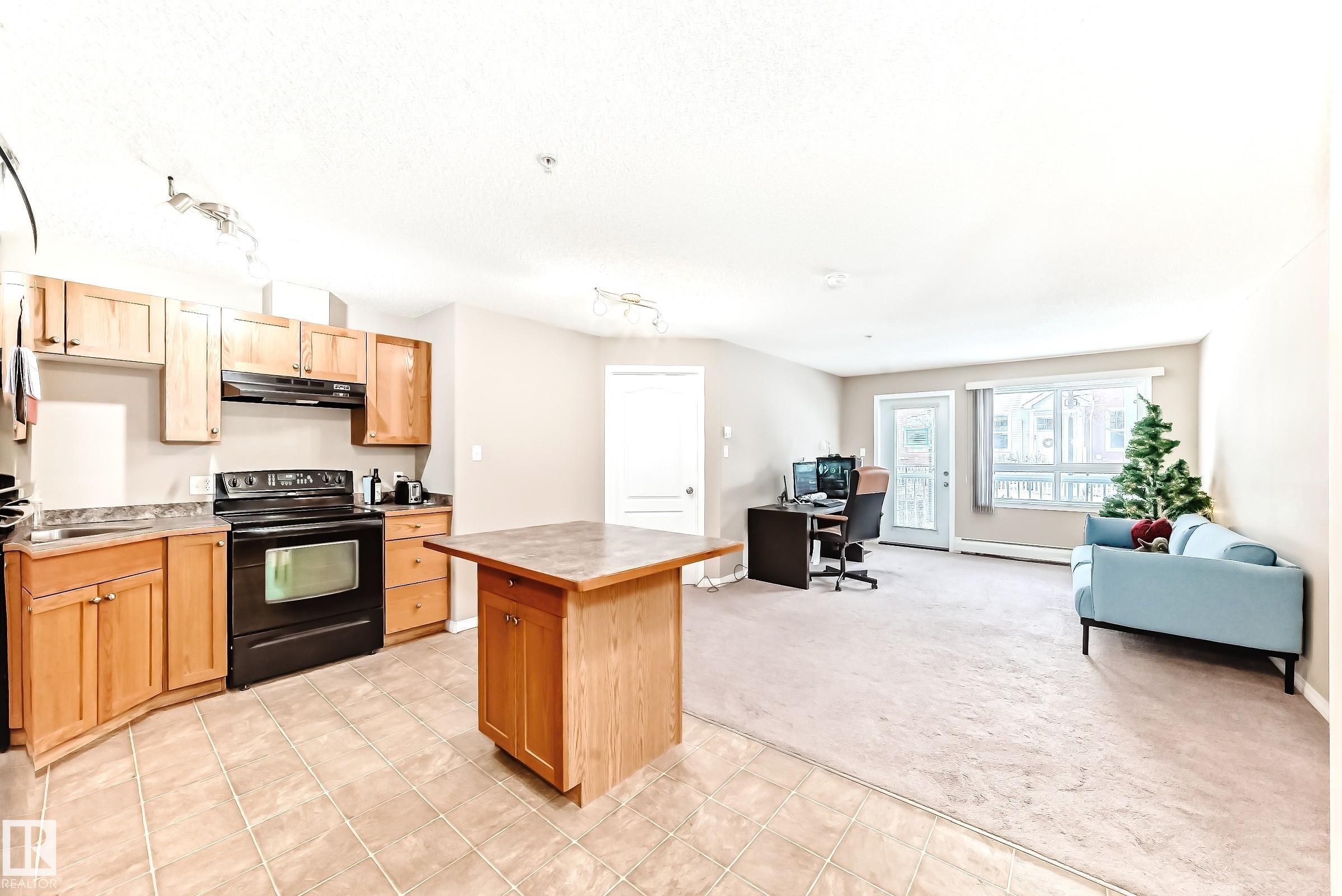 223 5350 199 Street, Edmonton, AB - Indoor Photo Showing Kitchen