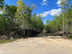 LOT 4C 50450 Range Road 233 Rural Leduc County, AB T4X 0L4