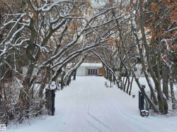 61 52349 RGE ROAD 233 Rural Strathcona County, AB T8B 1C8