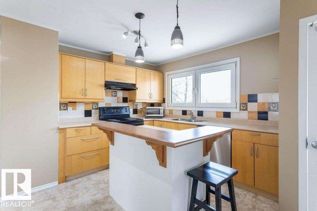 16206 79A Avenue, Edmonton, AB - Indoor Photo Showing Kitchen With Double Sink