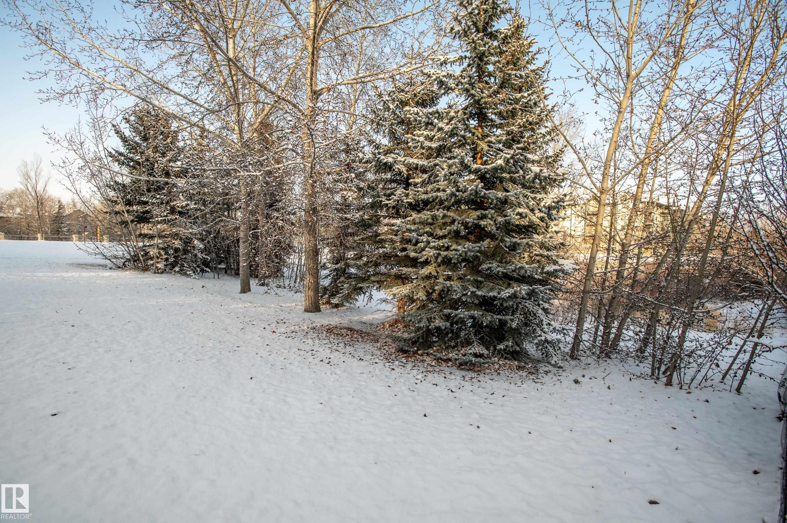 161 Hayward Crescent, Edmonton, AB - Outdoor