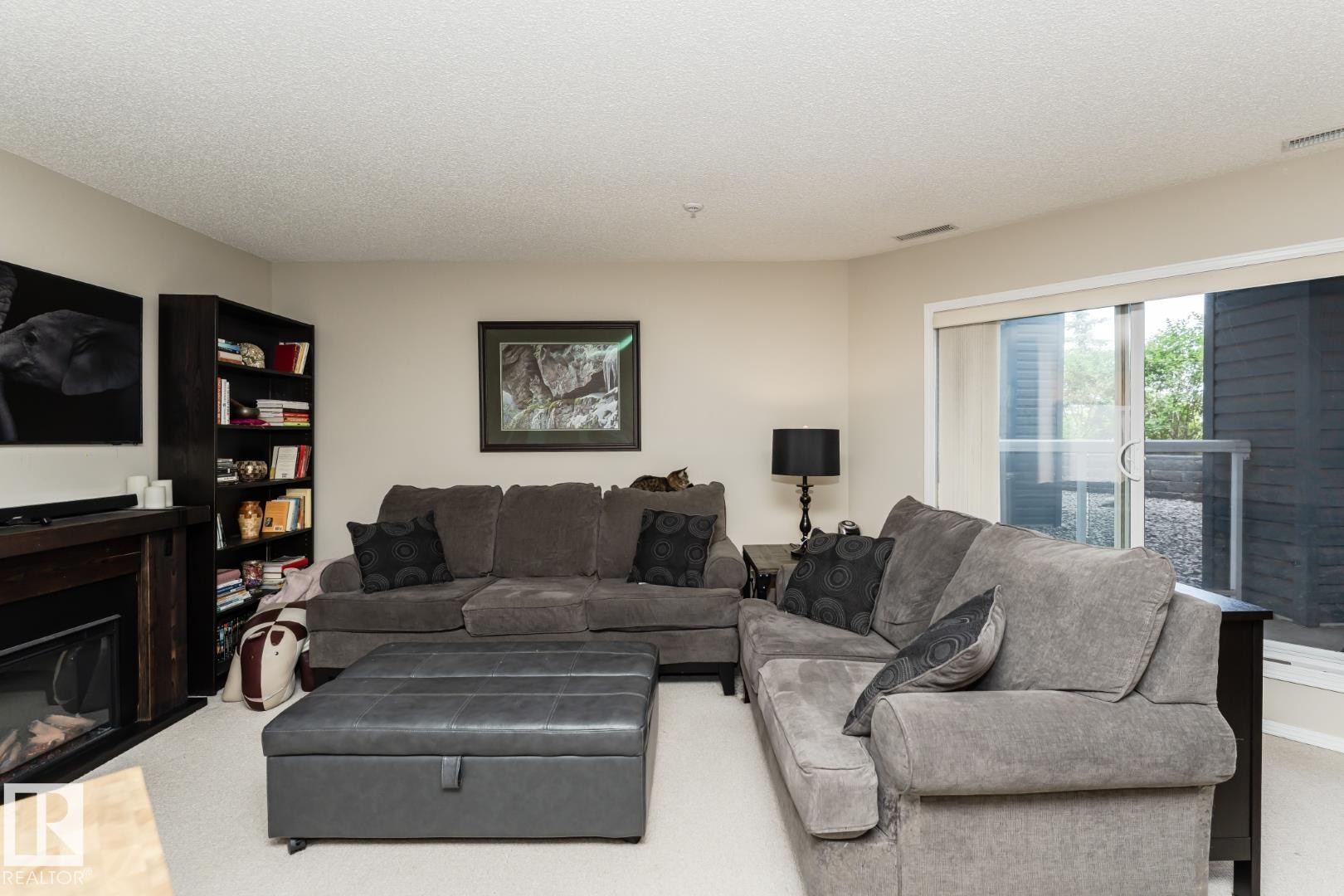 113 16035 132 Street, Edmonton, AB - Indoor Photo Showing Living Room With Fireplace