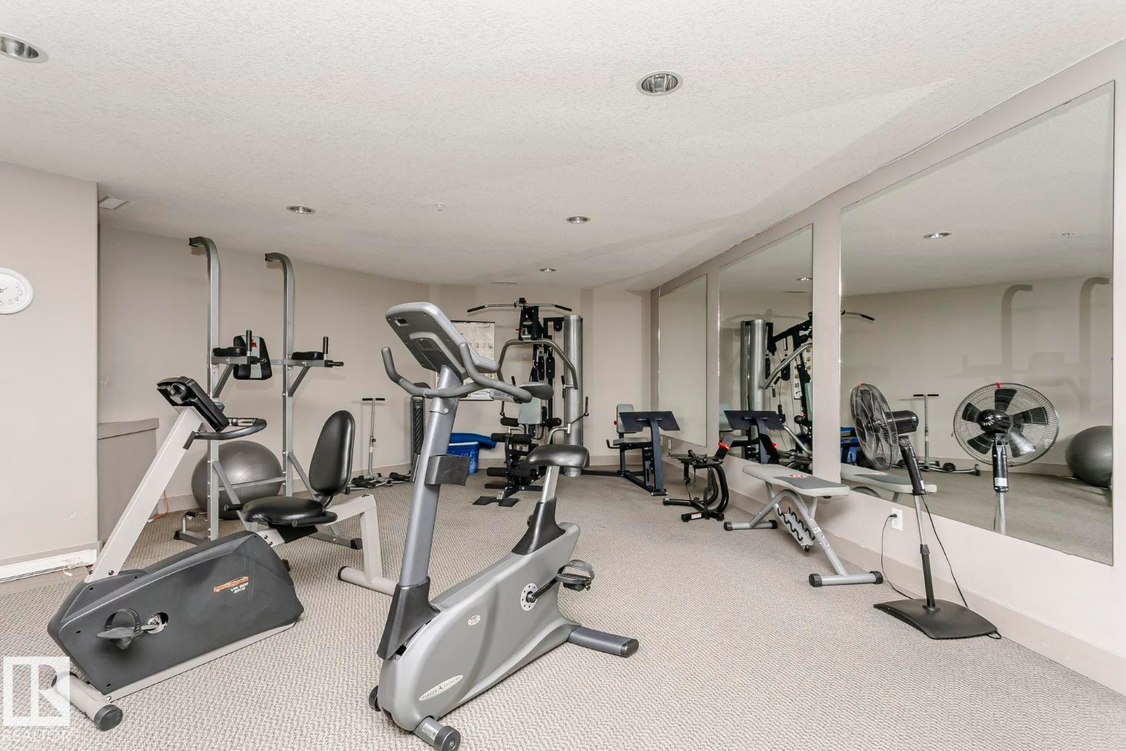 113 16035 132 Street, Edmonton, AB - Indoor Photo Showing Gym Room