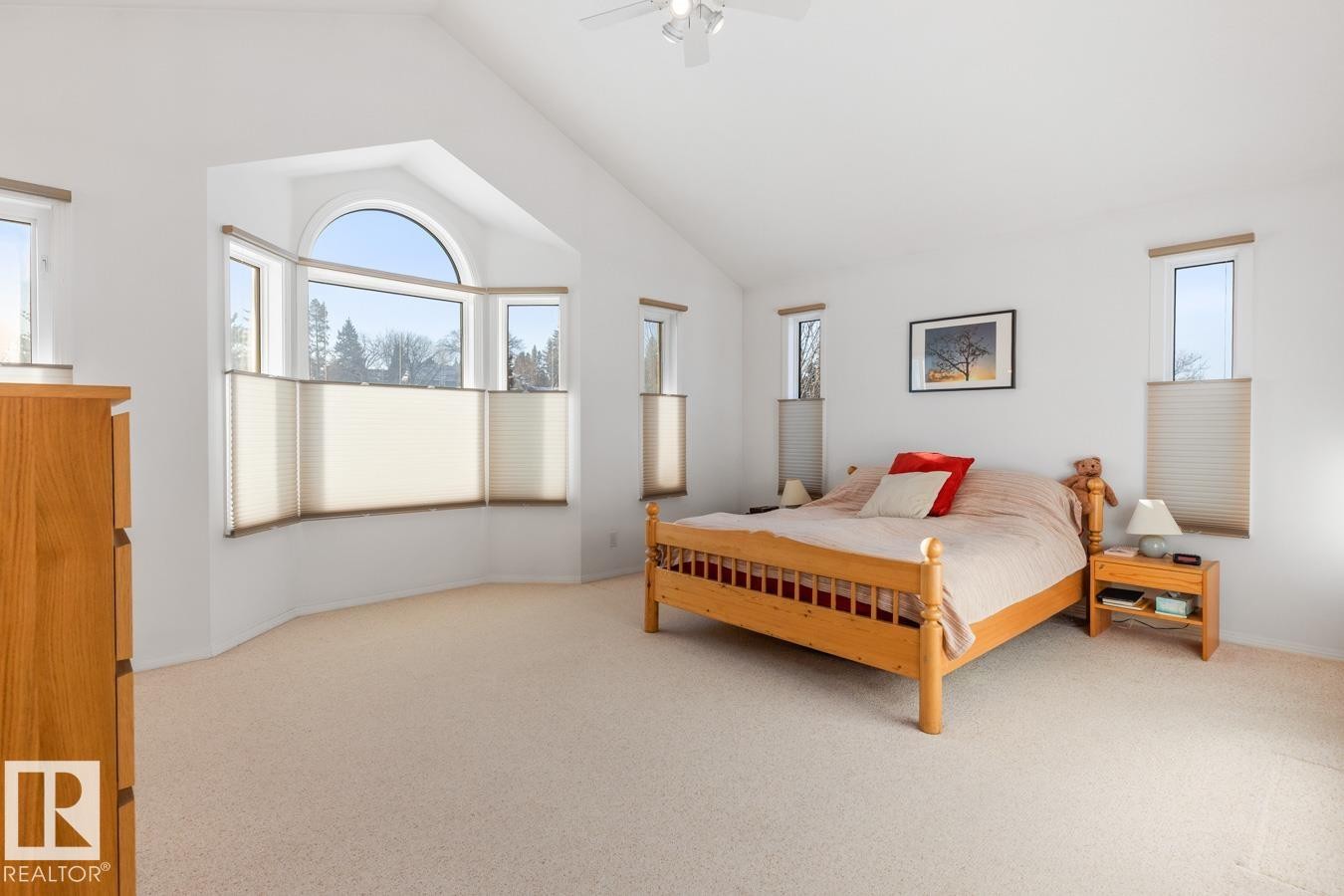 Bedroom with light colored carpet, vaulted ceiling, multiple windows, and ceiling fan - 6508 109 Avenue, Edmonton, AB - Indoor Photo Showing Bedroom