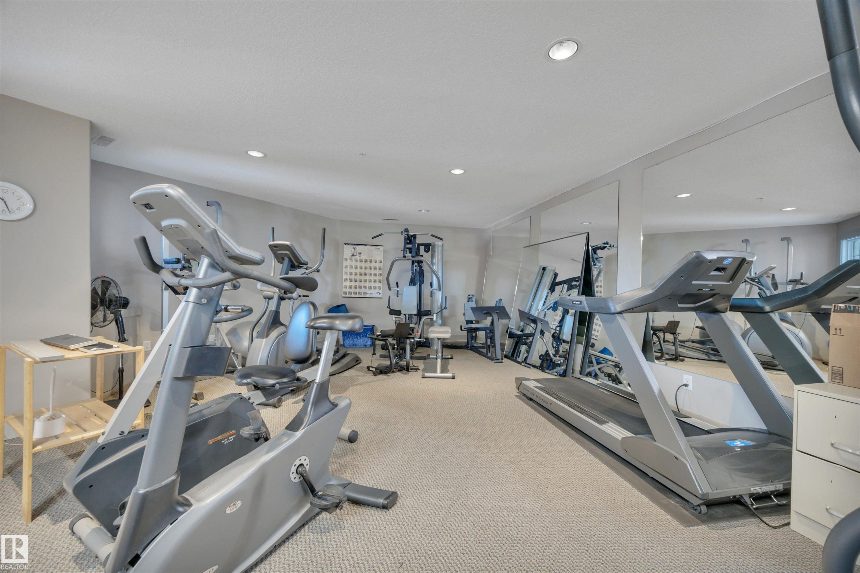 119 16035 132 Street, Edmonton, AB - Indoor Photo Showing Gym Room