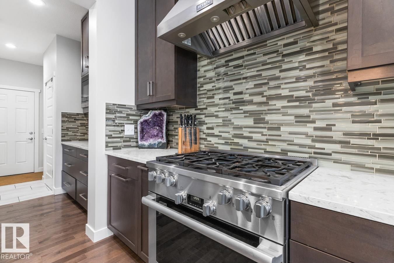 1723 168 Street, Edmonton, AB - Indoor Photo Showing Kitchen With Upgraded Kitchen