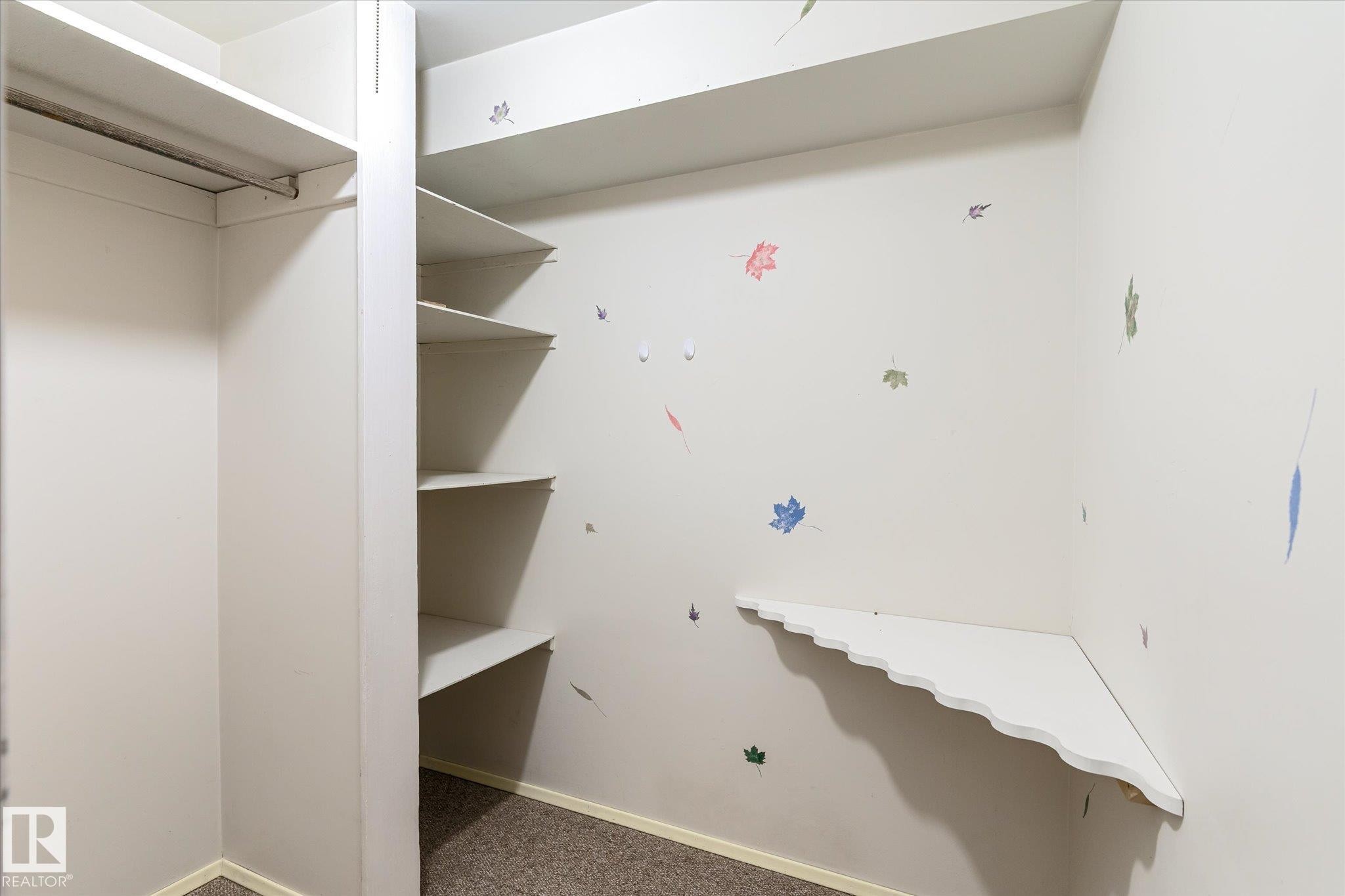 Spacious closet featuring carpet floors - 10429 143 Street, Edmonton, AB - Indoor