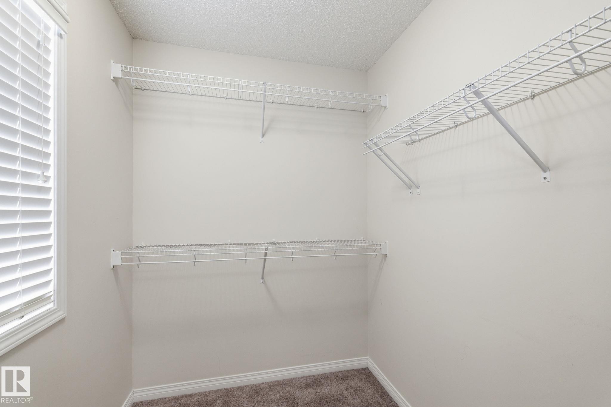 Spacious closet with carpet flooring - 1511 Secord Rd, Edmonton, AB - Indoor With Storage