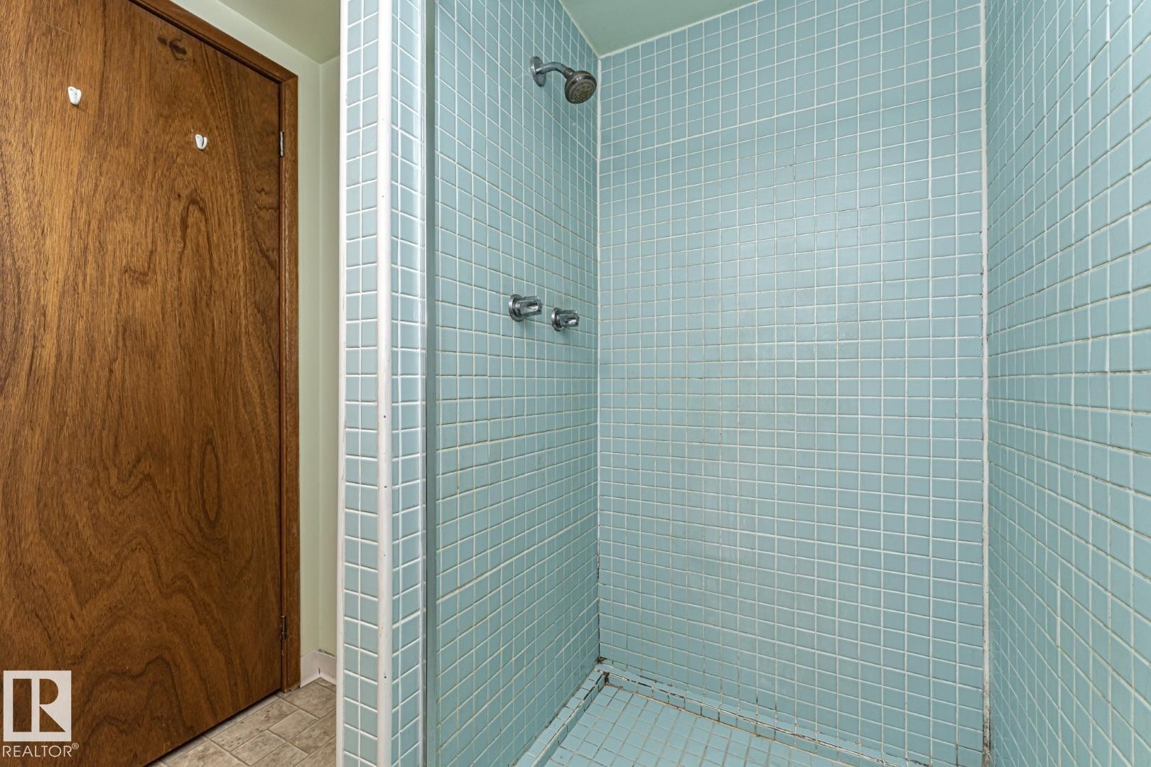 Bathroom featuring a shower stall - 10207 165 Avenue, Edmonton, AB - Indoor Photo Showing Bathroom