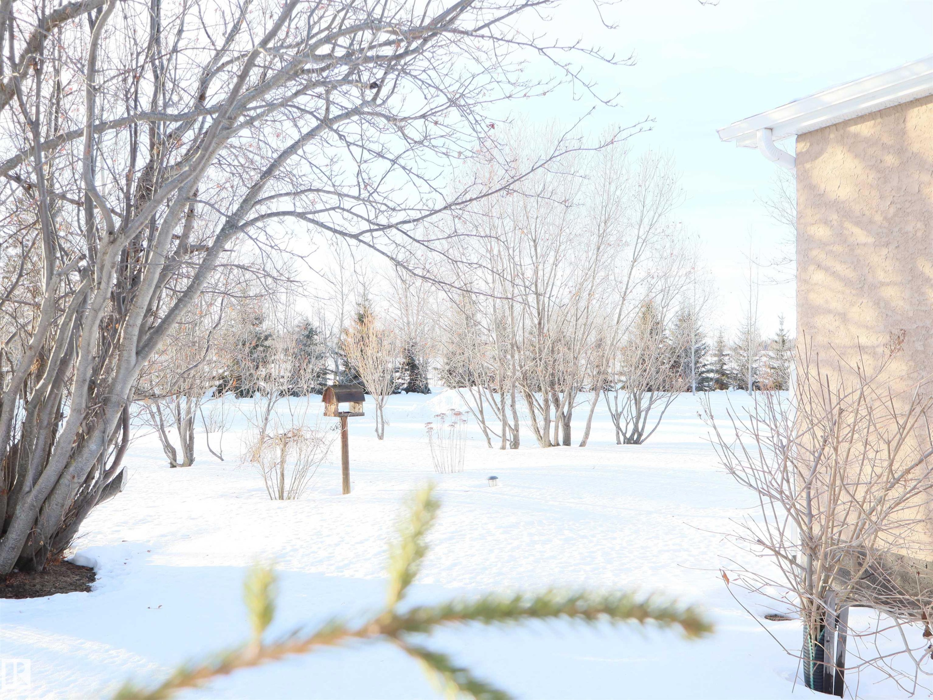 4526 Twp. Rd. 602A, Rural Barrhead County, AB - Outdoor With View