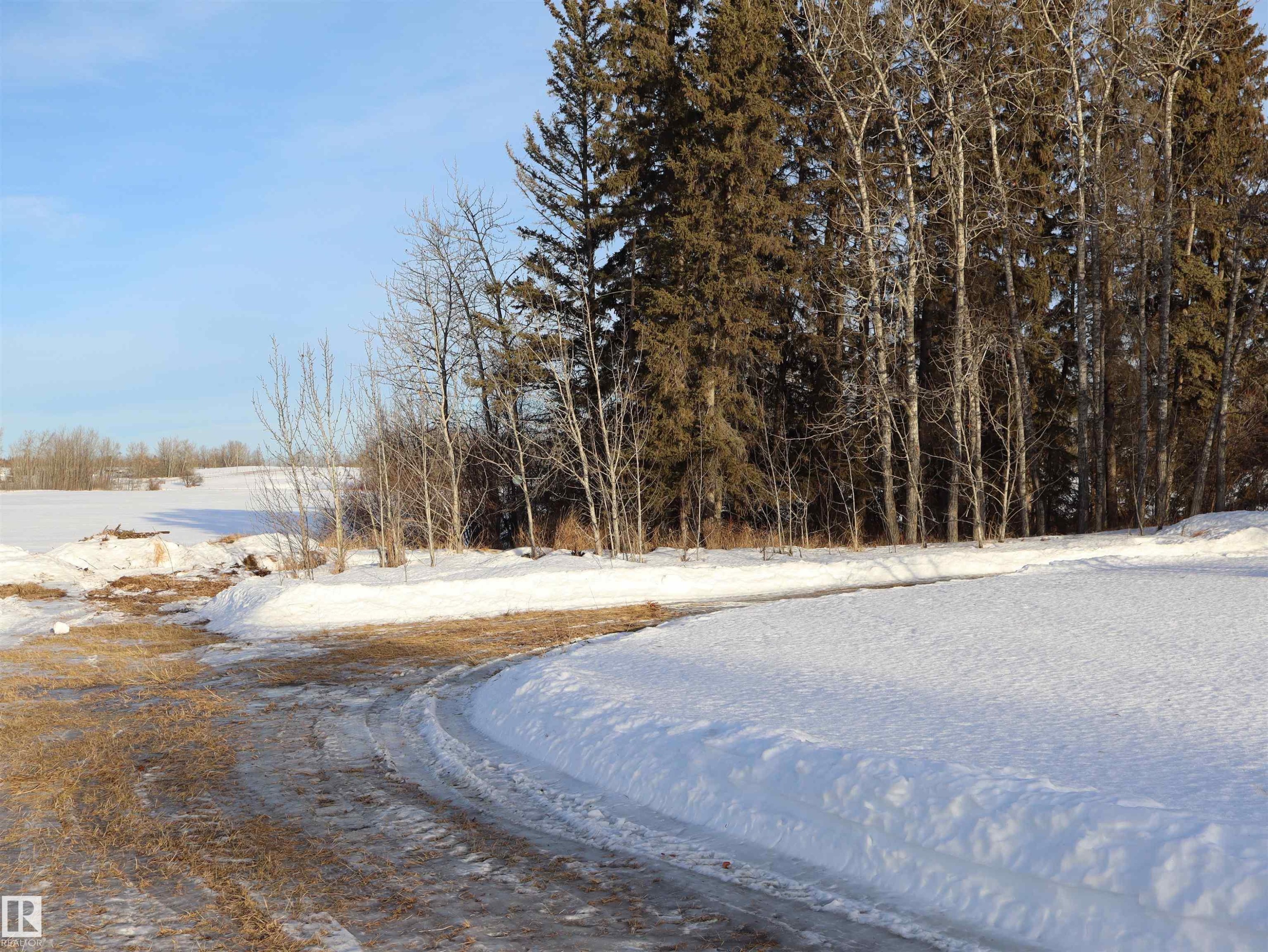 4526 Twp. Rd. 603A, Rural Barrhead County, AB - Outdoor With View