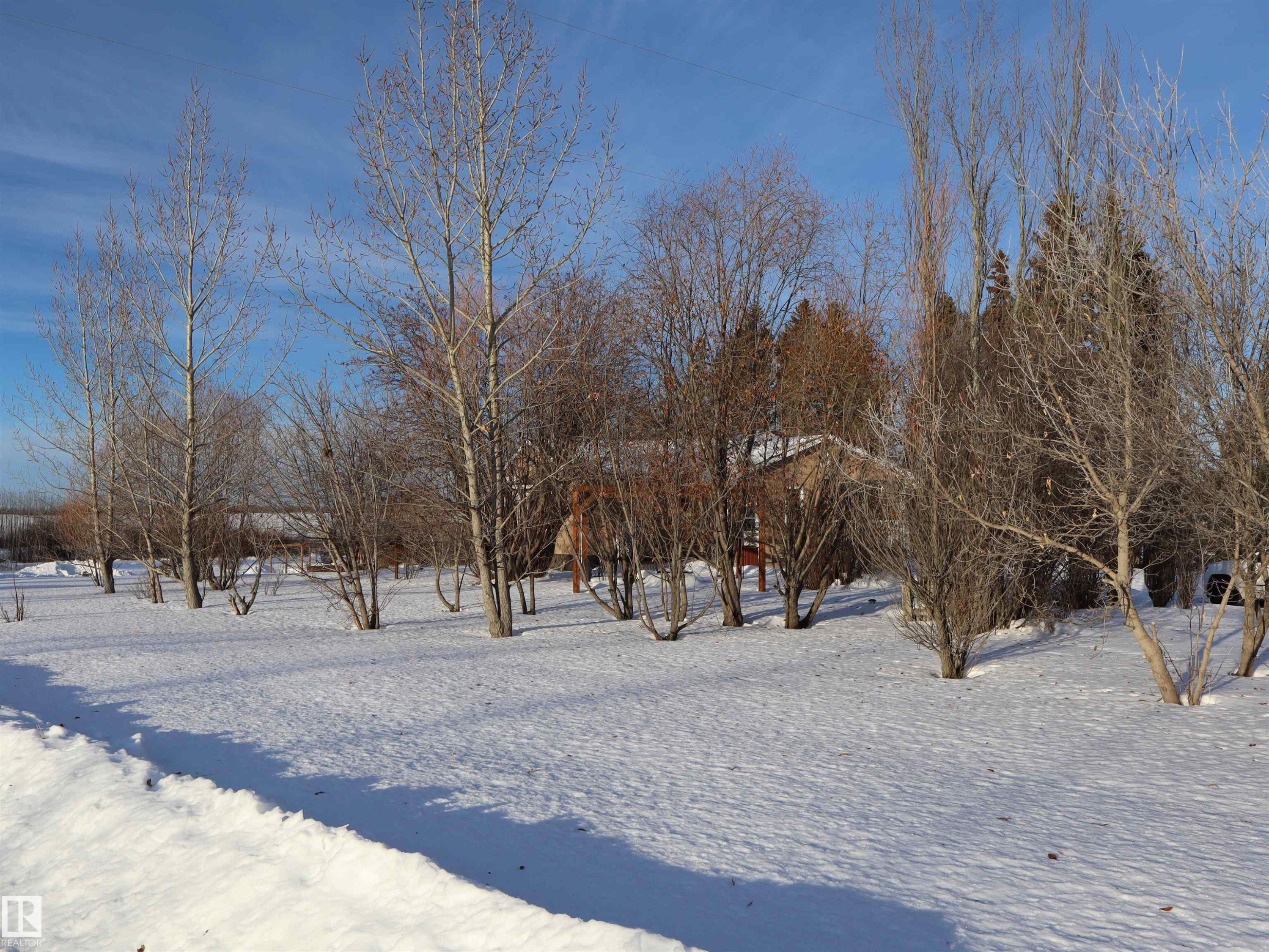 4526 Twp. Rd. 603A, Rural Barrhead County, AB - Outdoor With View