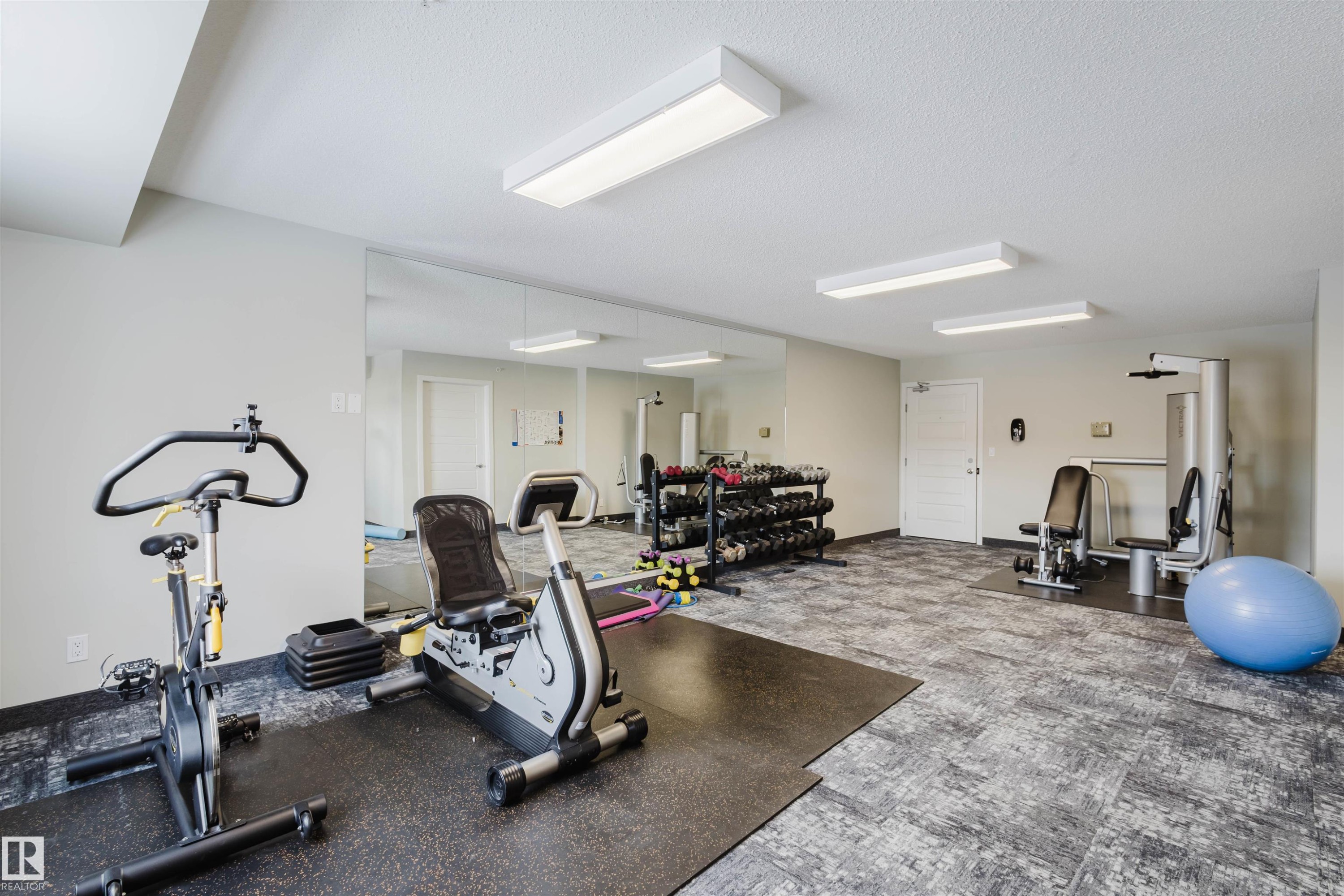 108 396 Silver Berry Road, Edmonton, AB - Indoor Photo Showing Gym Room