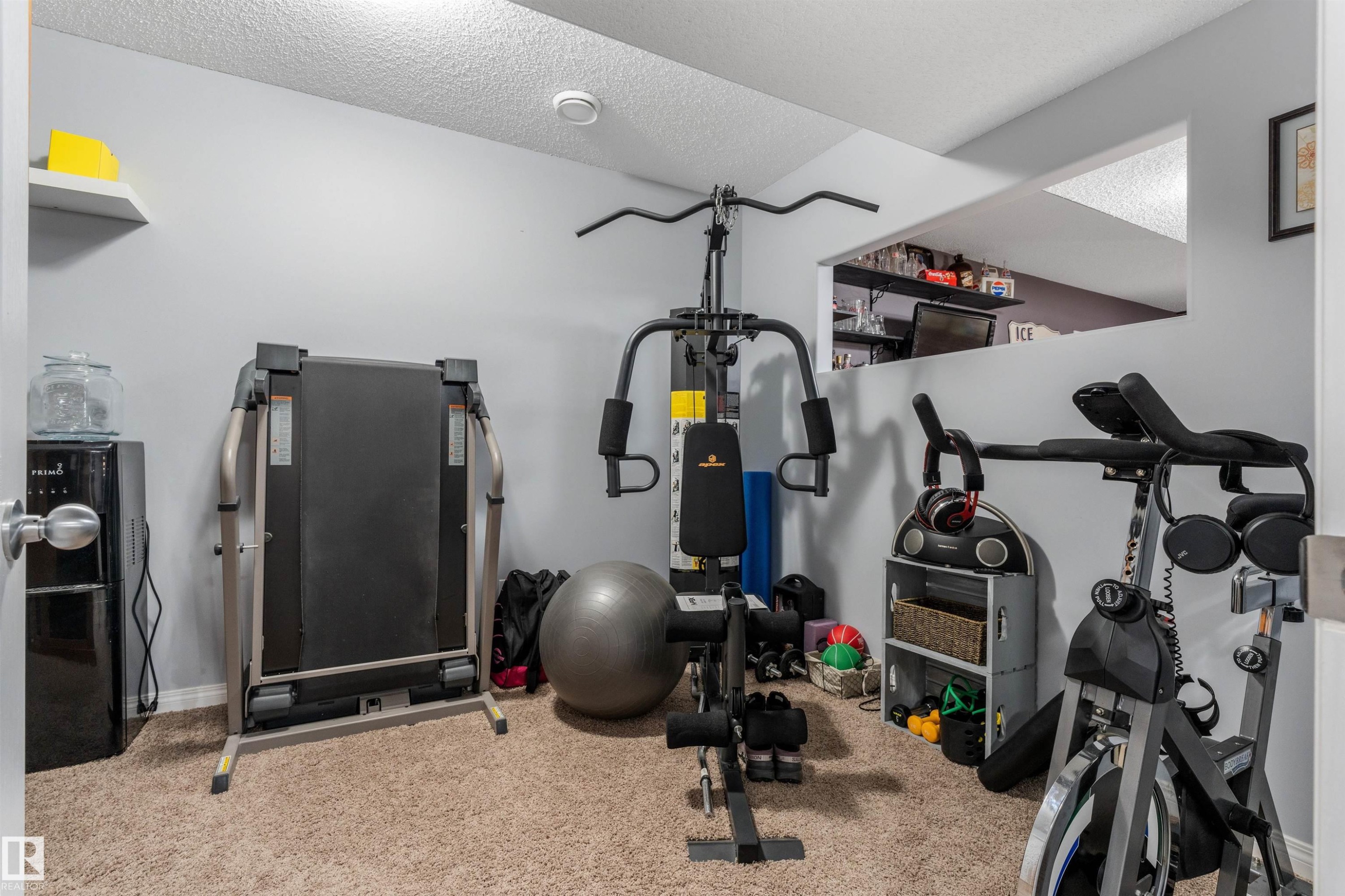 103 52318 Rge Road 25, Rural Parkland County, AB - Indoor Photo Showing Gym Room