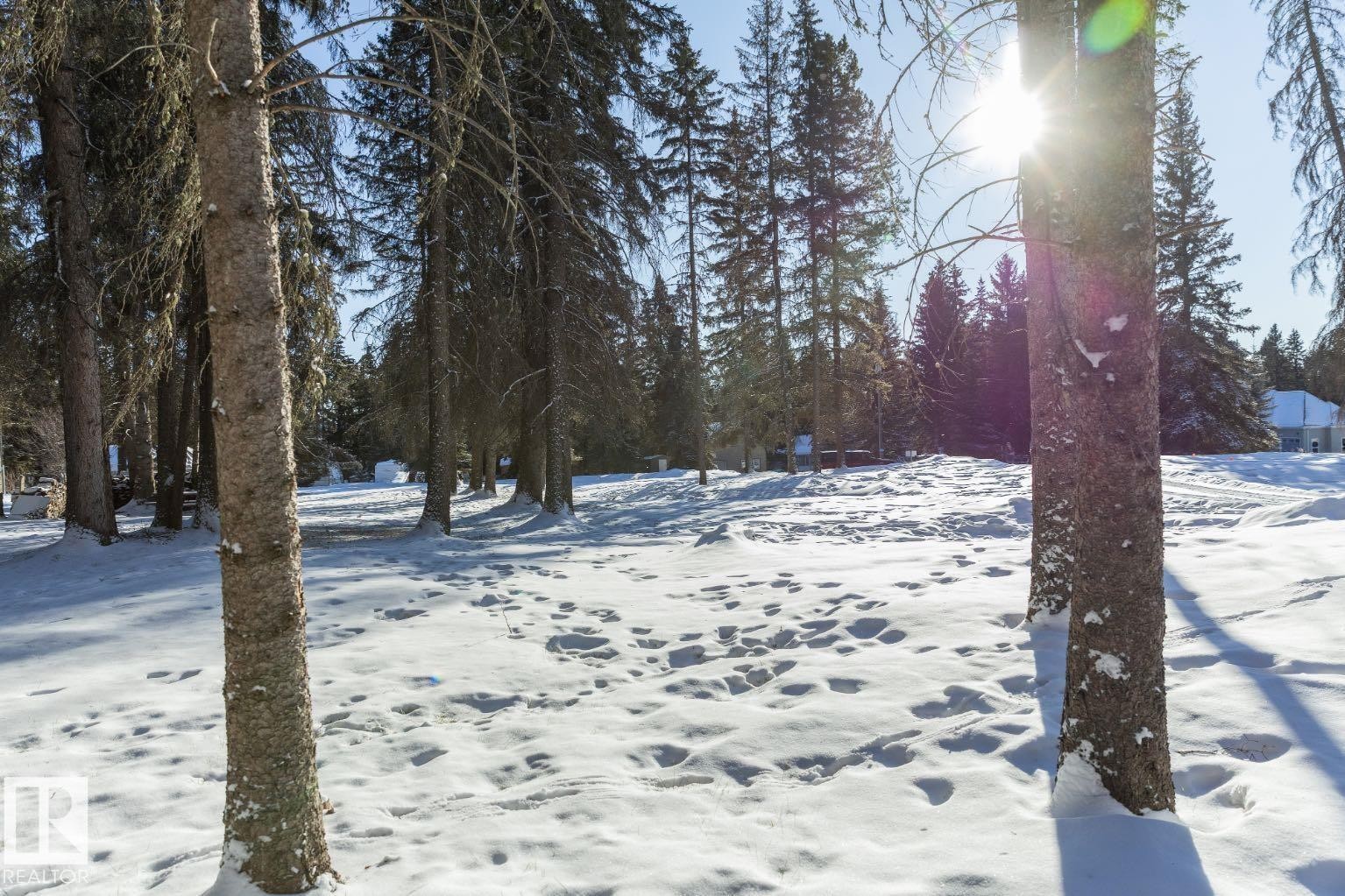 126 62036 Twp Road 462, Rural Wetaskiwin County, AB - Outdoor With View