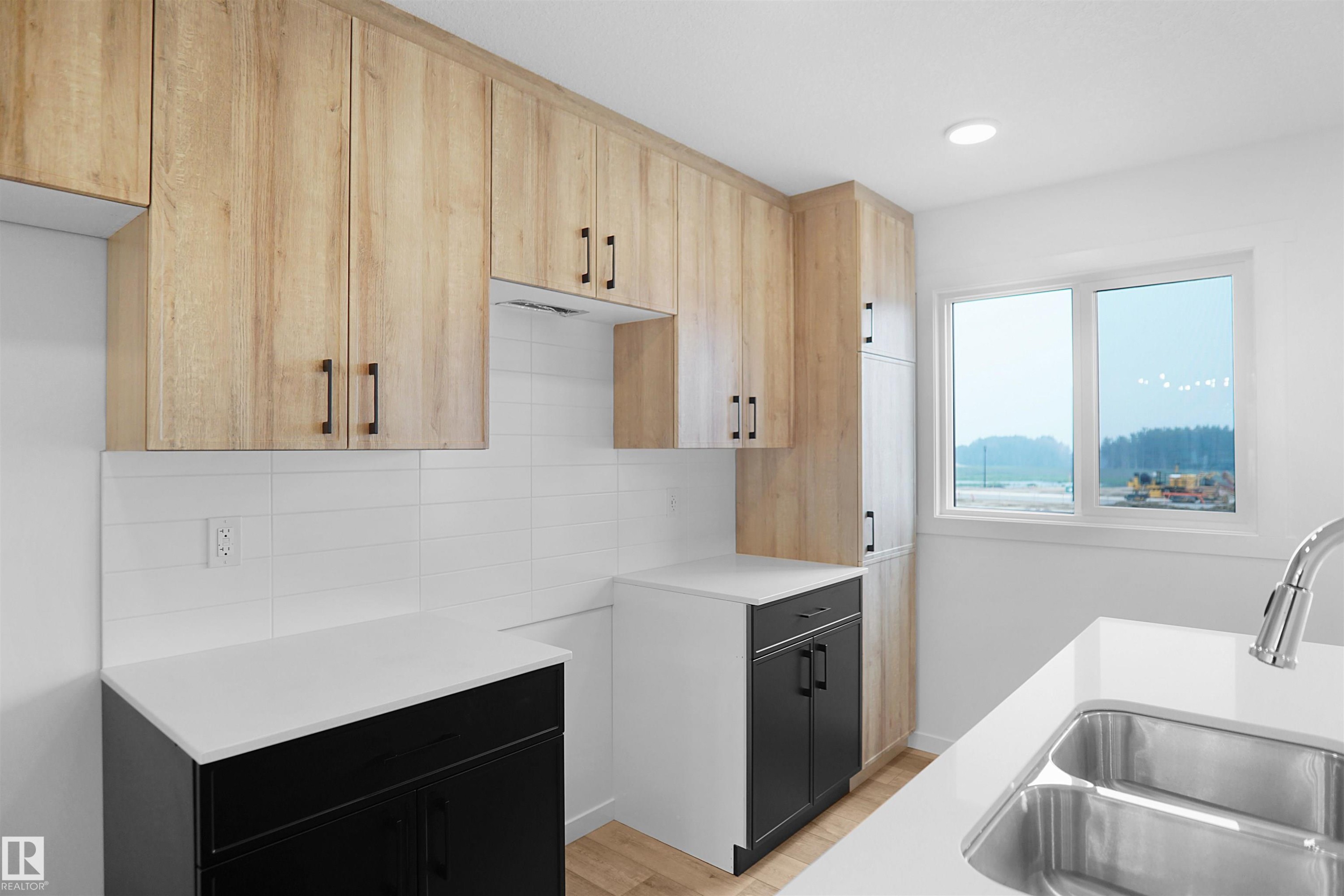 2119 210 Street, Edmonton, AB - Indoor Photo Showing Kitchen With Double Sink