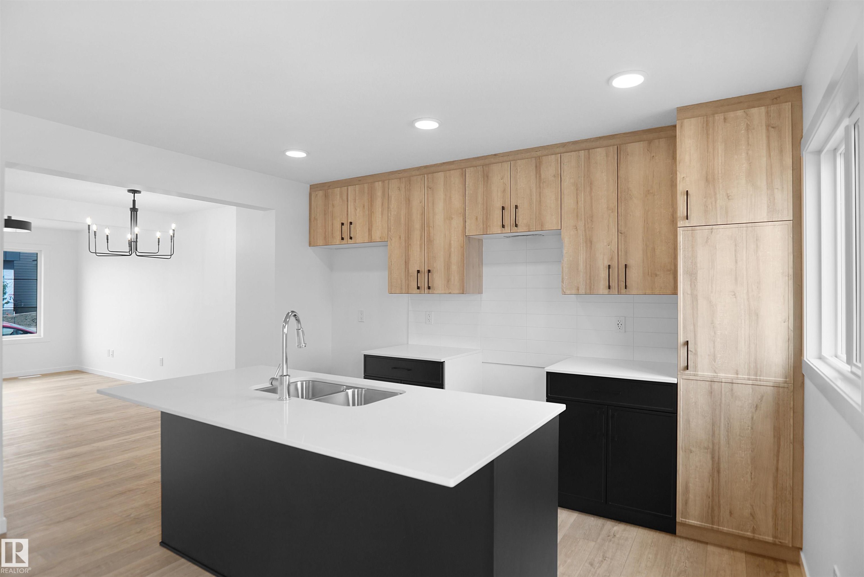 2119 210 Street, Edmonton, AB - Indoor Photo Showing Kitchen With Double Sink