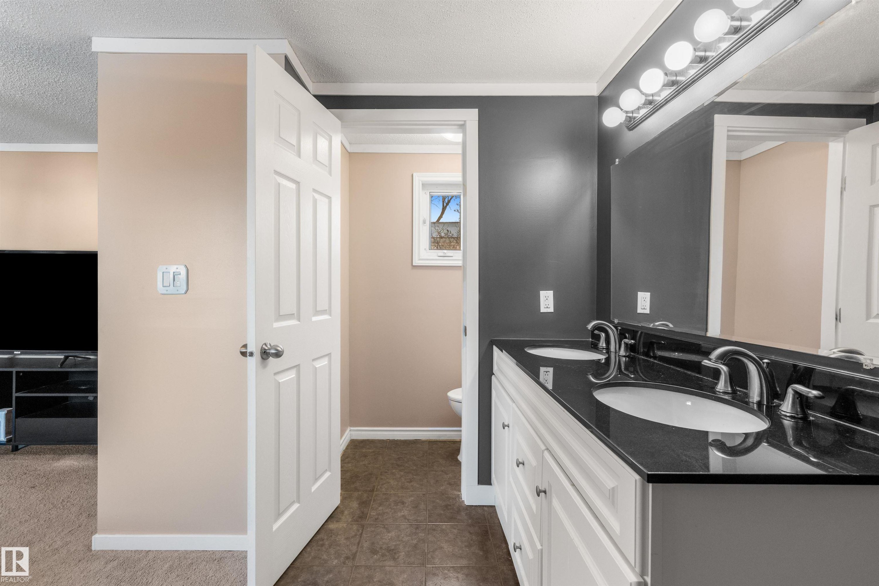 482 53222 Rge Rd 272, Rural Parkland County, AB - Indoor Photo Showing Bathroom