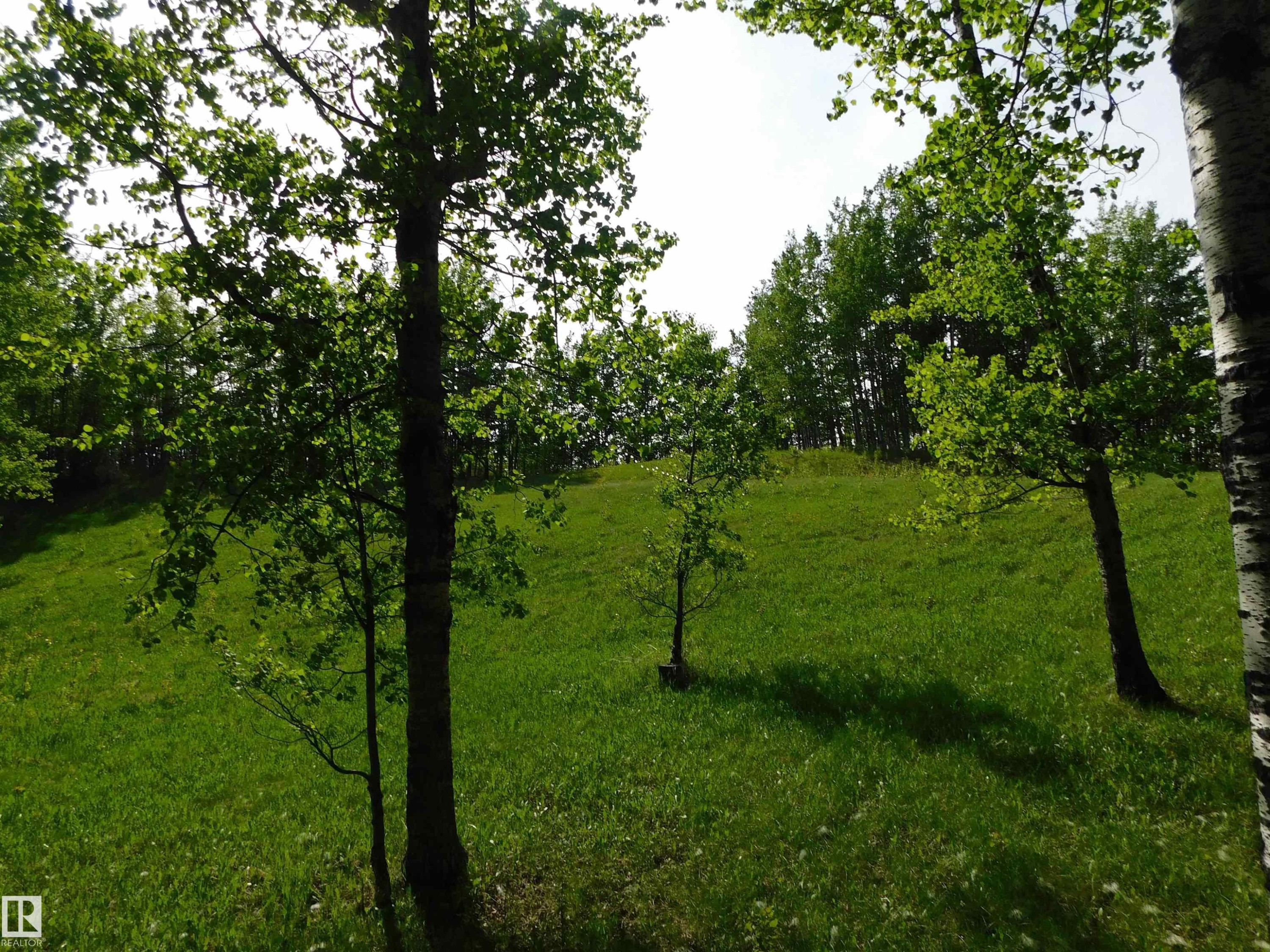 52123 Rge Road 25, Rural Parkland County, AB