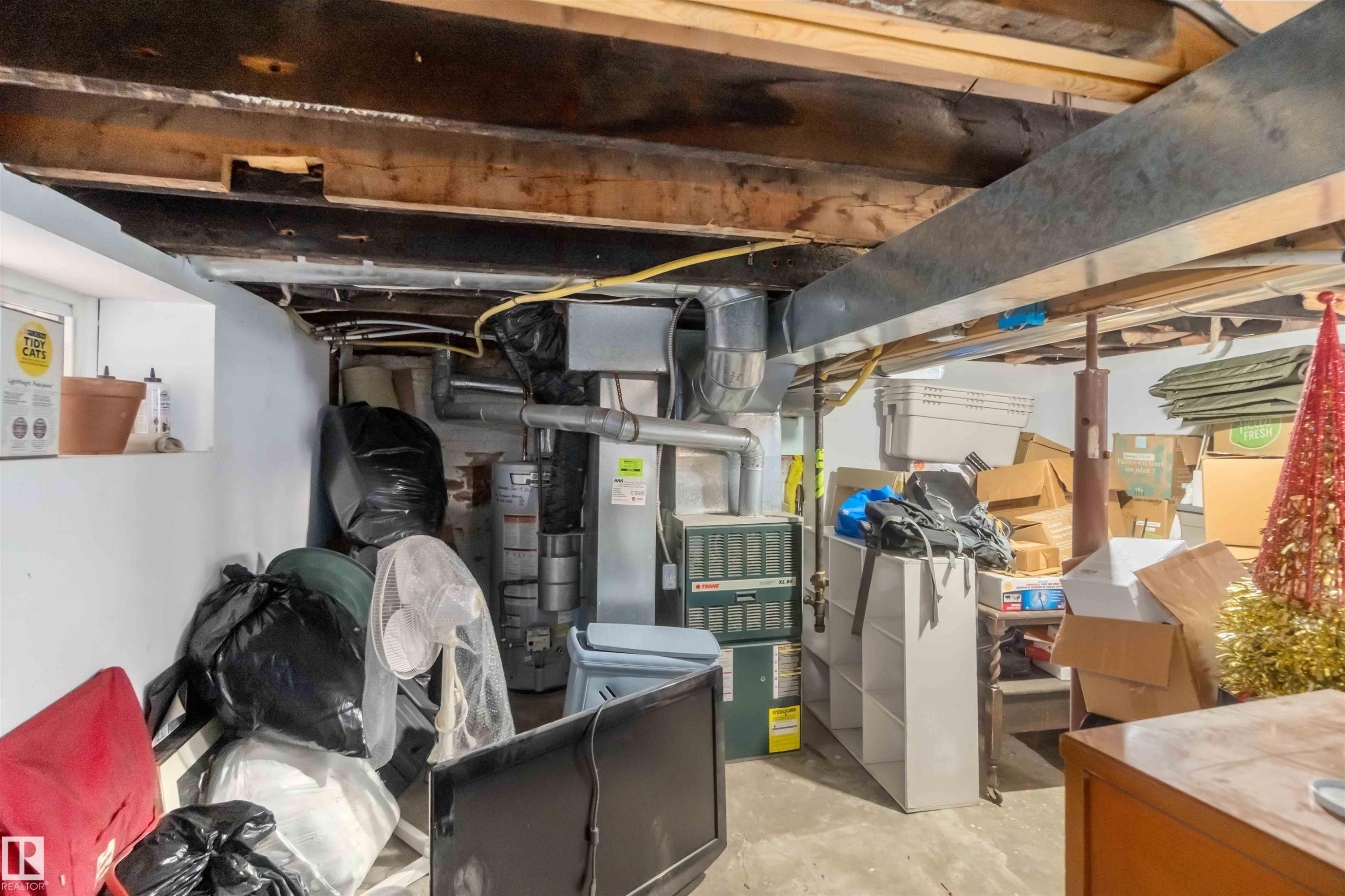 10207 88 Street, Edmonton, AB - Indoor Photo Showing Basement